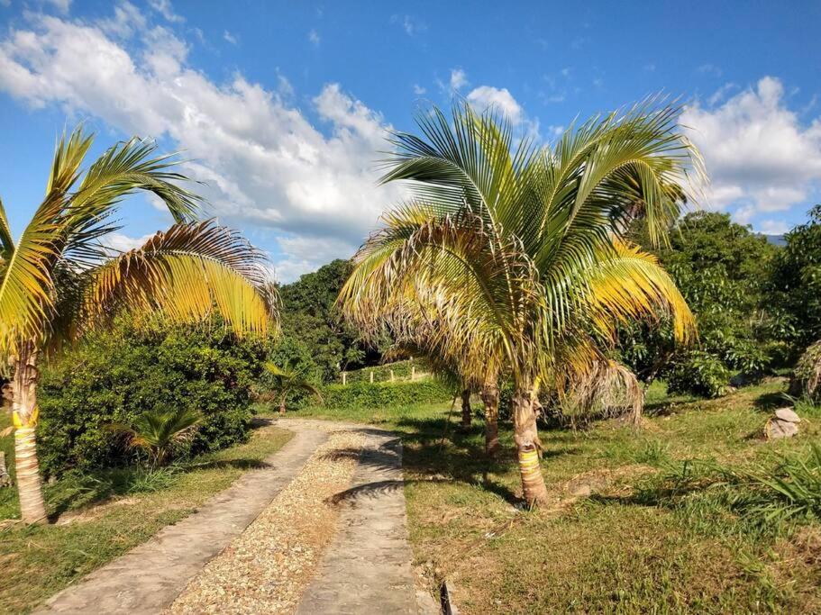 Hermosa casa para desconectar del día a dia