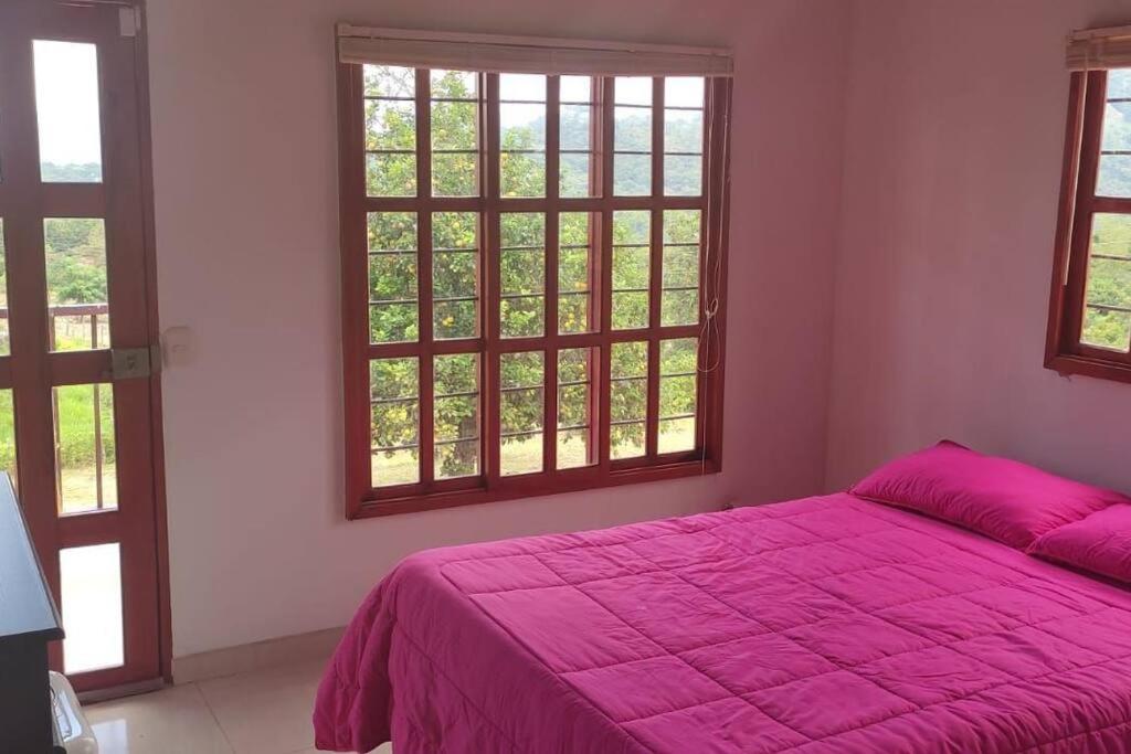 Hermosa casa para desconectar del día a dia