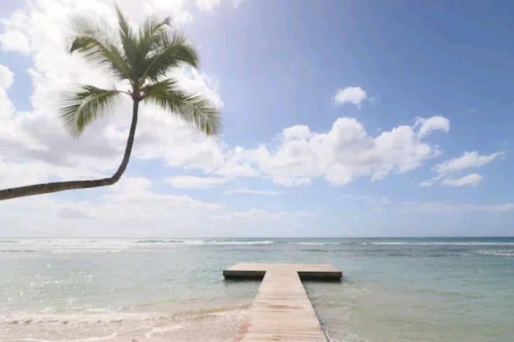 Beautiful beachfront apartment