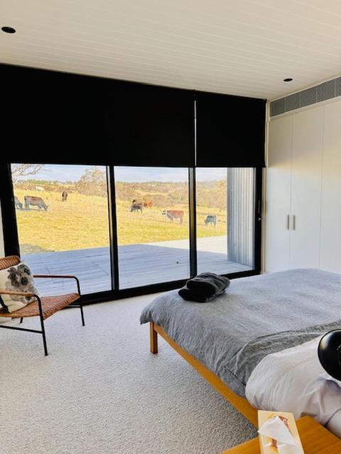 Spectacular Kangaroobie Cabin
