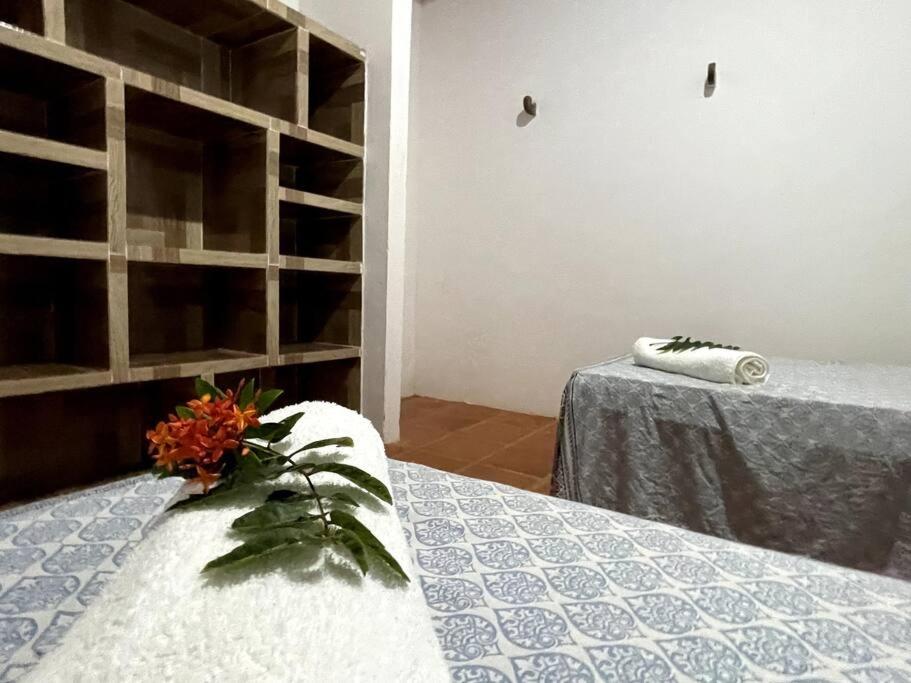 Casa de frente para o mar, pé na areia!
