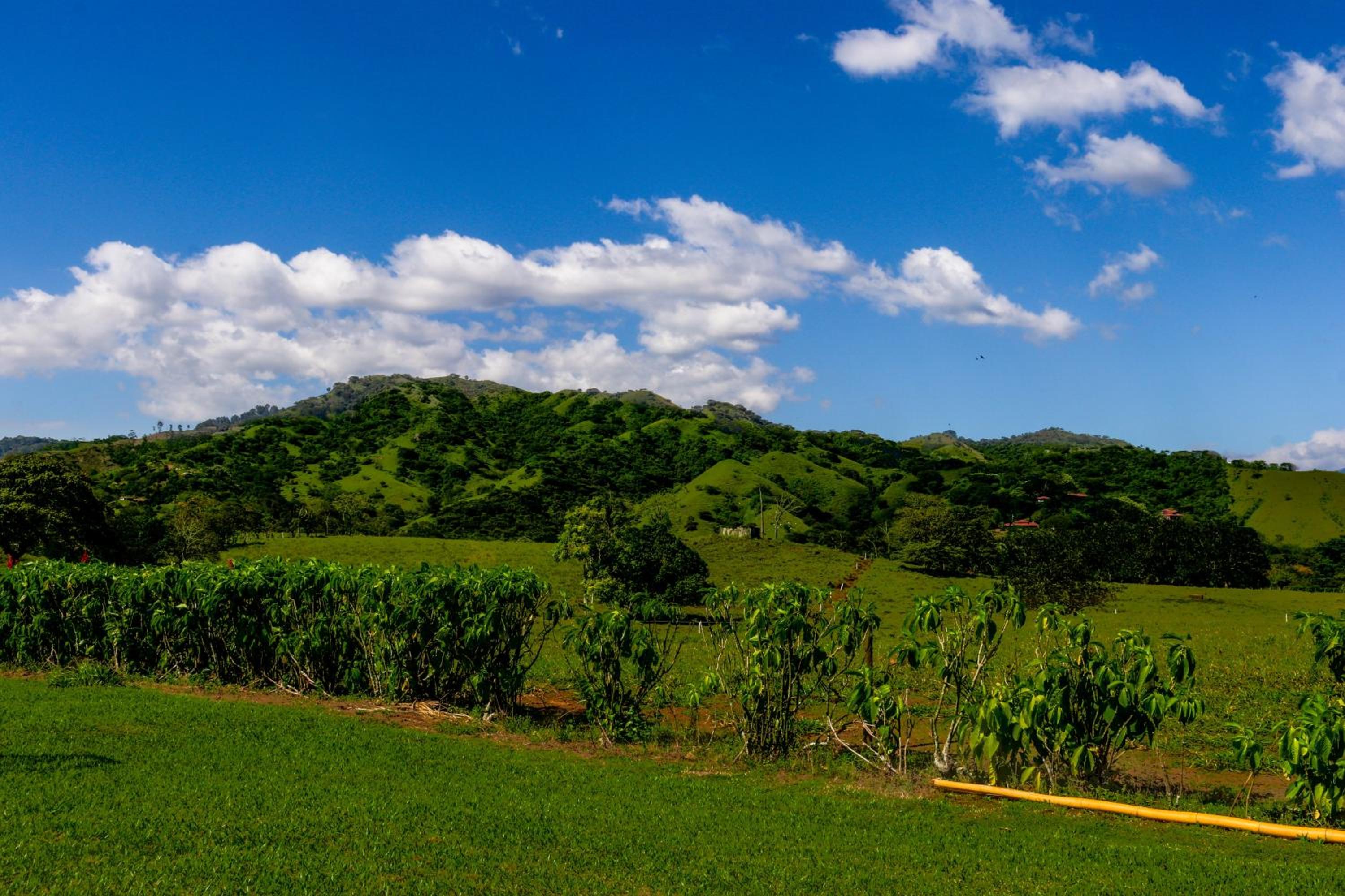 Finca de La Luna