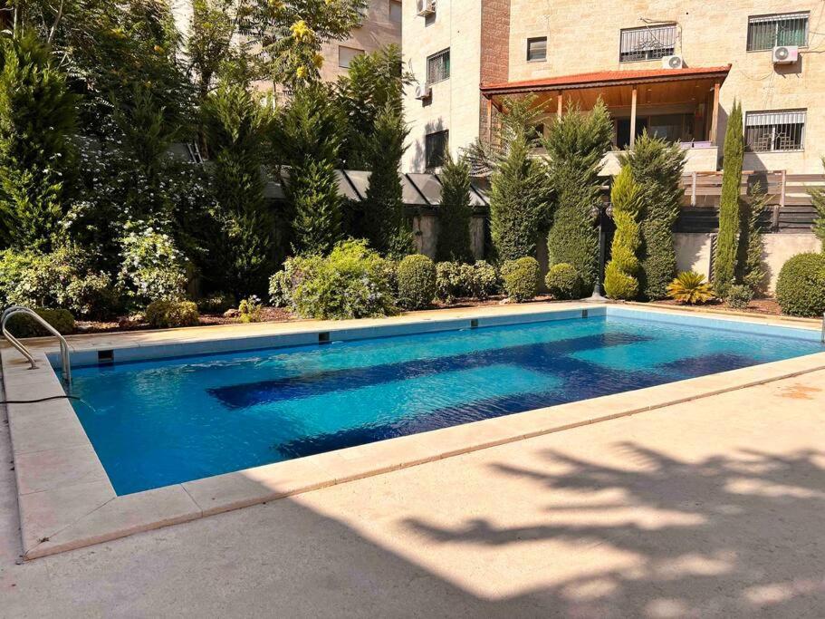 Modern Sunny 2 BR apartment, with pool and big yard view 2
