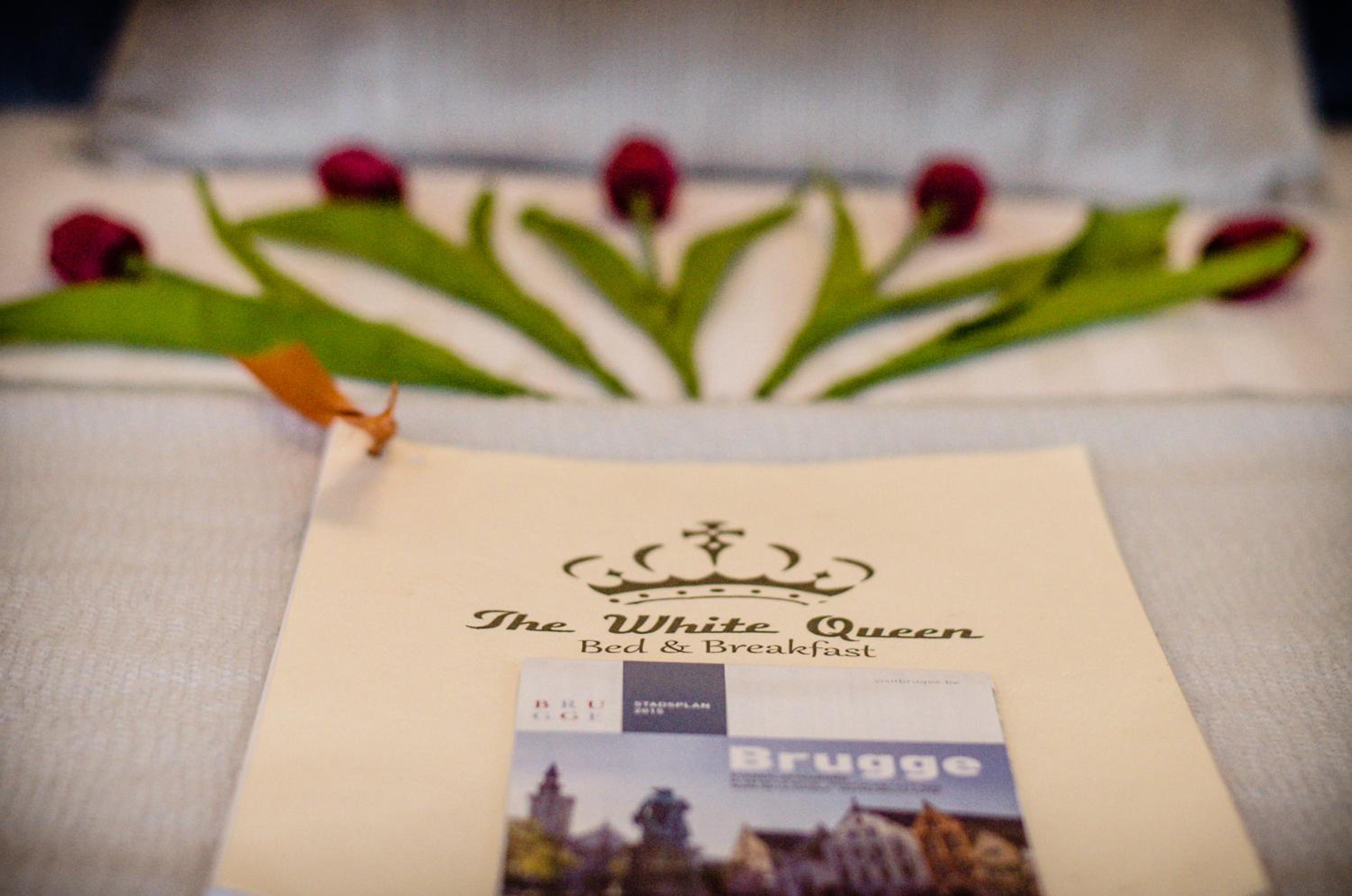 The White Queen B&B