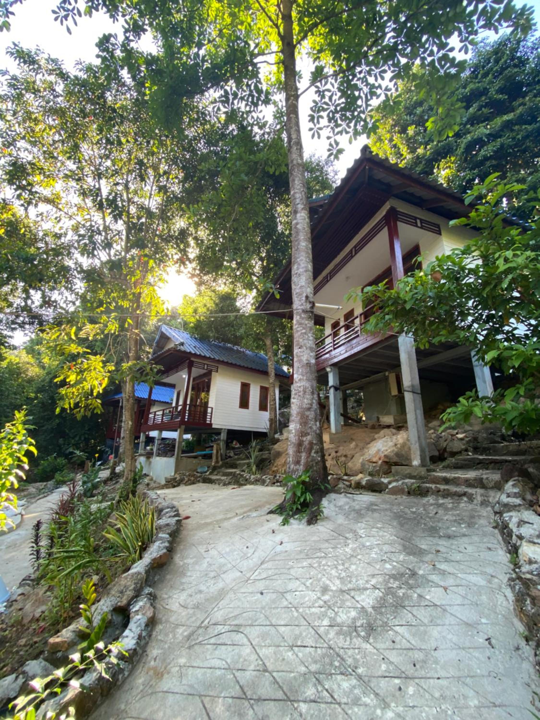 White Rose Guesthouse view 4