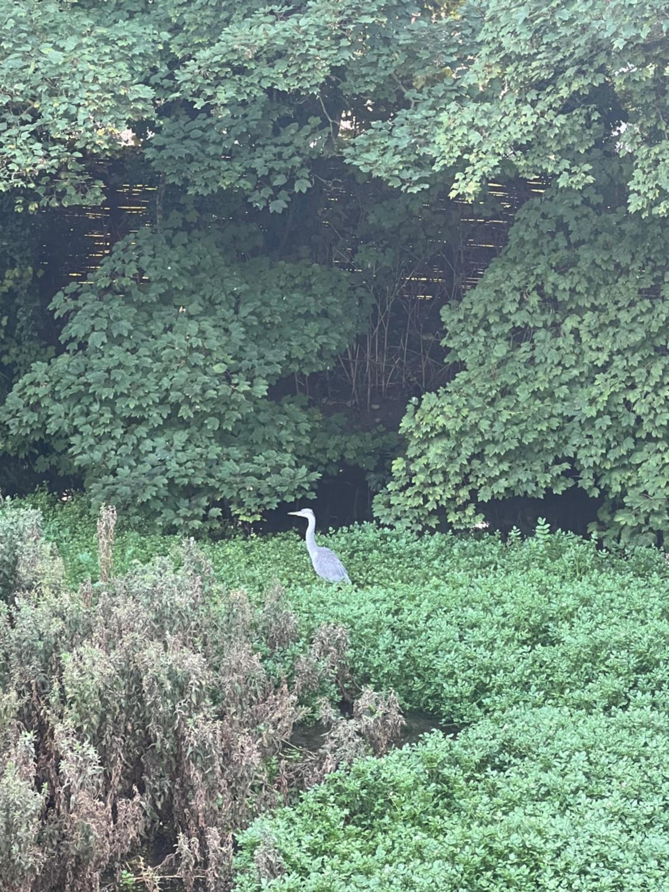 Waterside Lodge, Weybourne, Holt