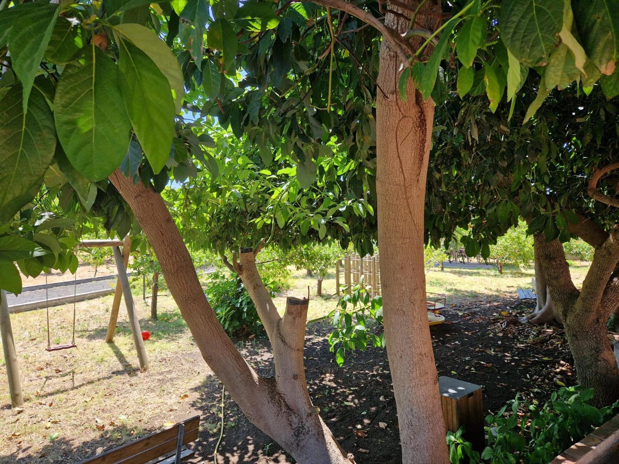 Lumia