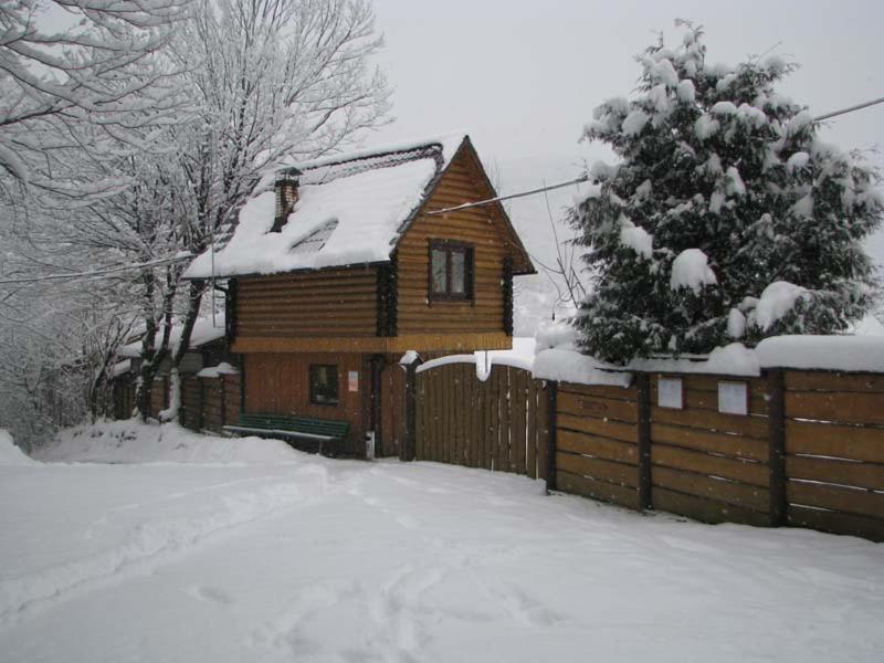 Kvasnyi