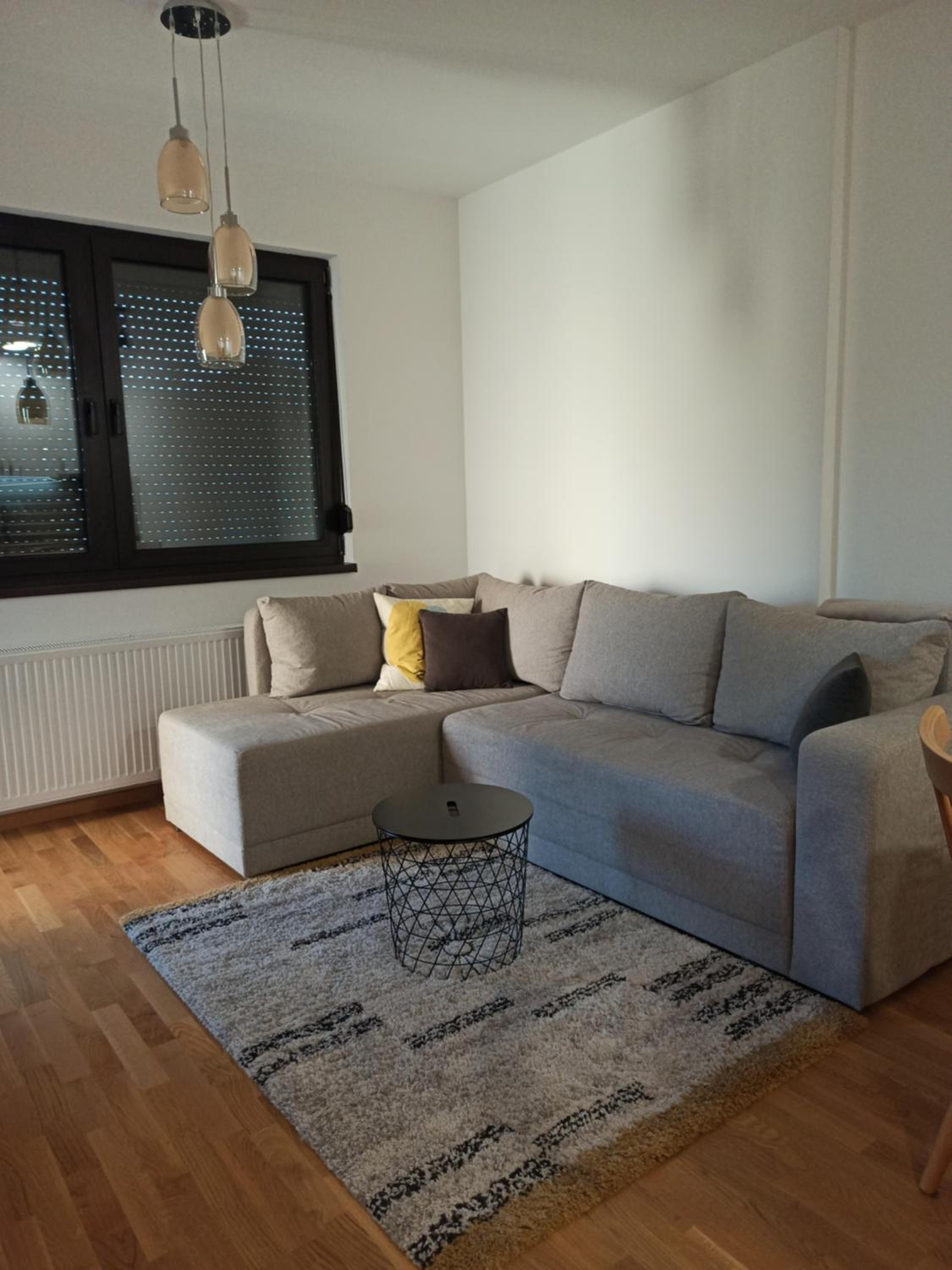 Cozy Apartment Zlatibor view 2