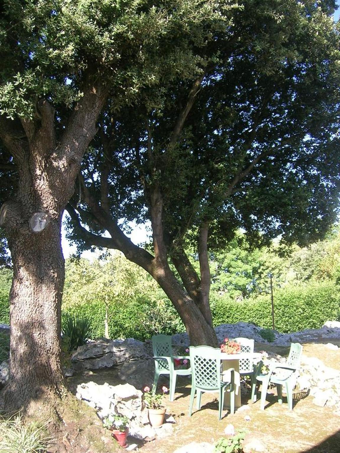 Hotel La Encina Celorio Llanes - Property Image 14