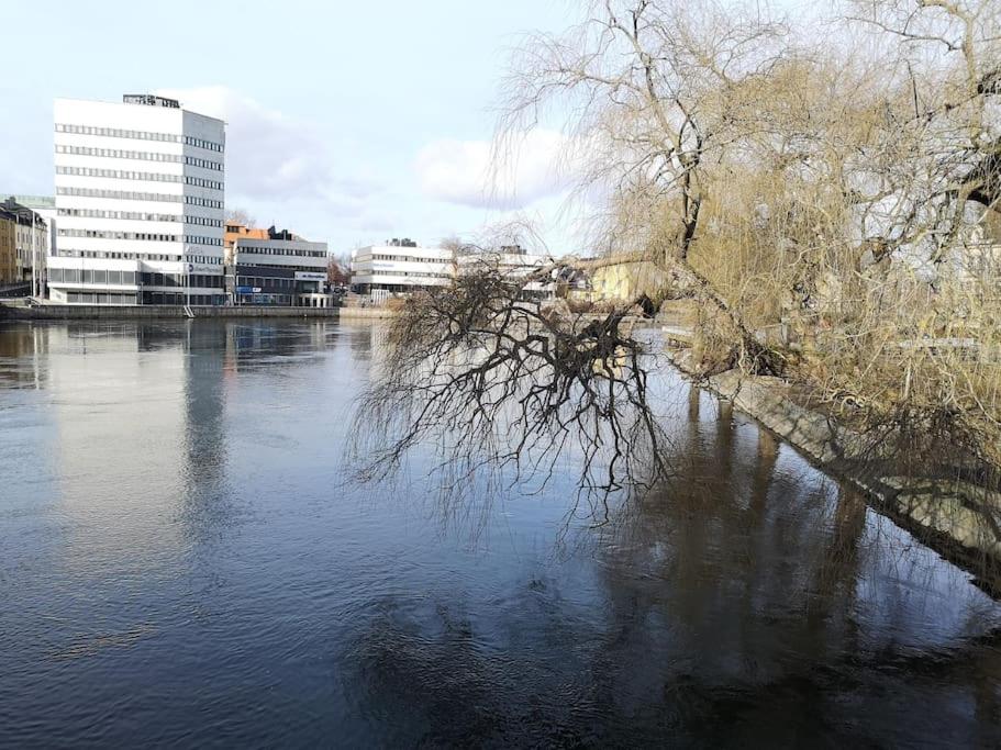 Stor lägenhet för familj eller företag
