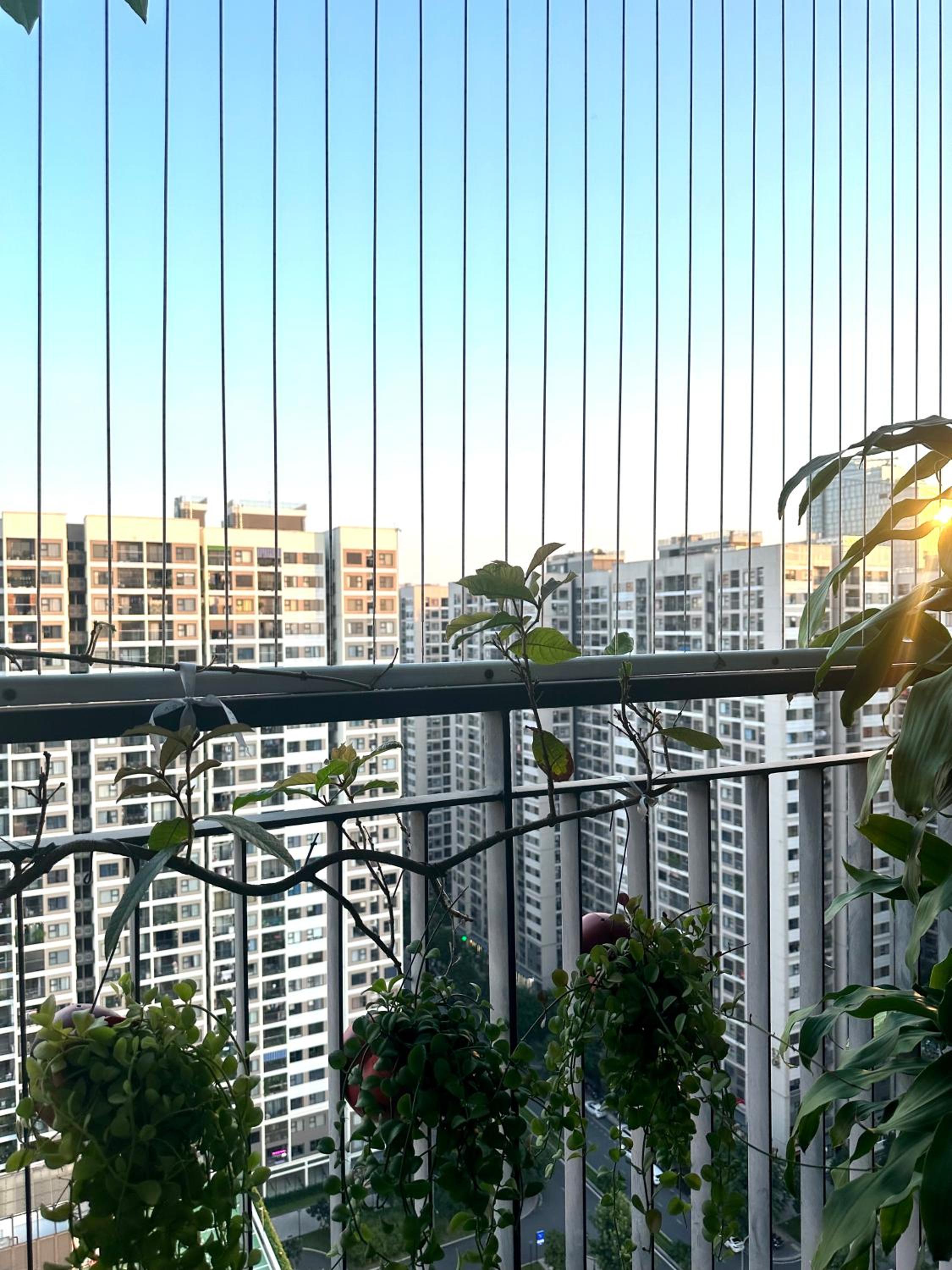 Căn hộ chung cư cao cấp Ocean Park 2BR 2BA