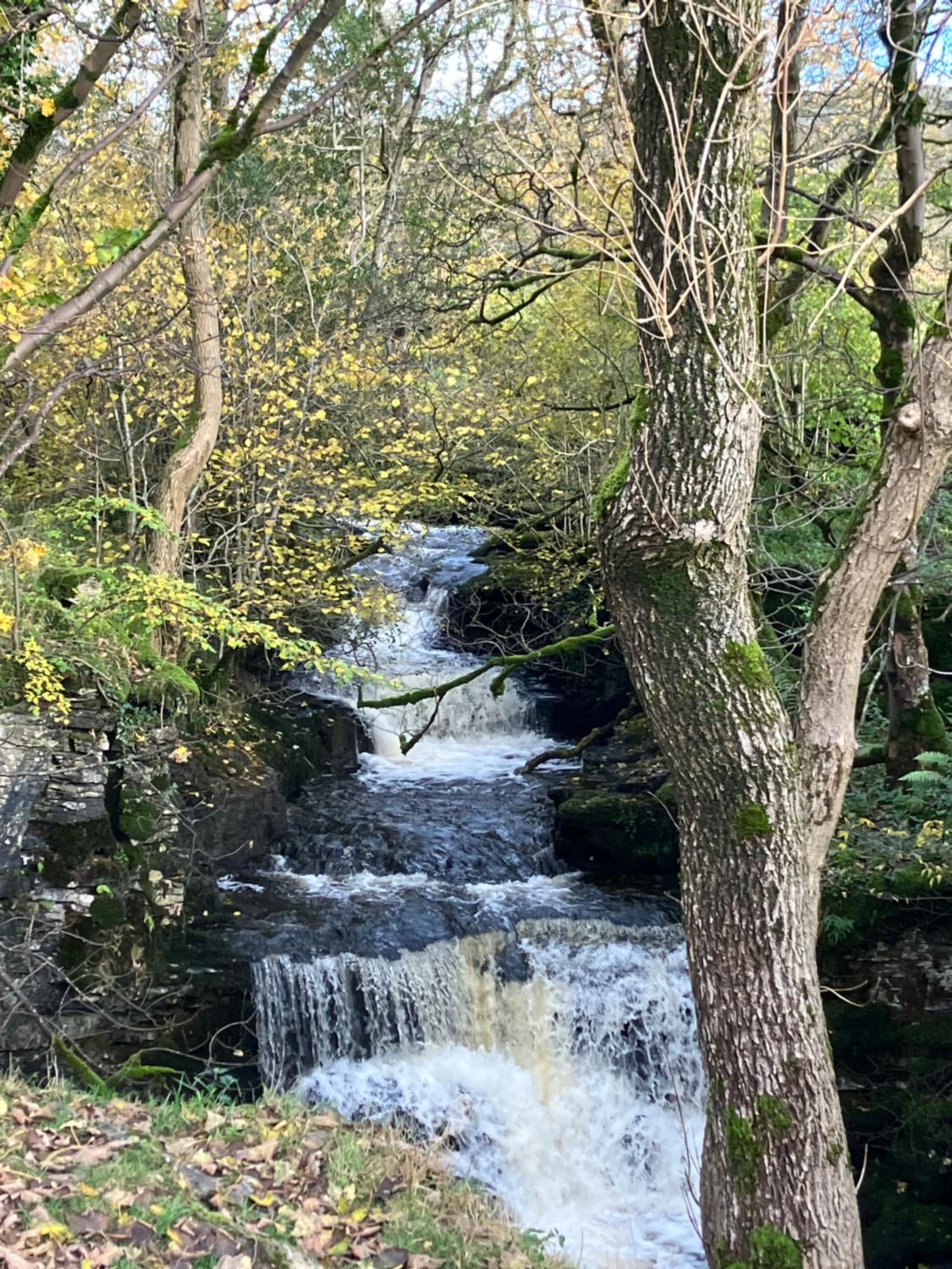 The Wharfe - Cosy, comfortable retreat view 5