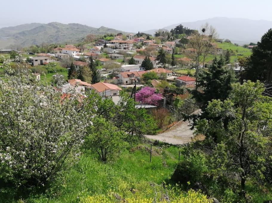 VILLA EYTIXIA - Mendenitsa