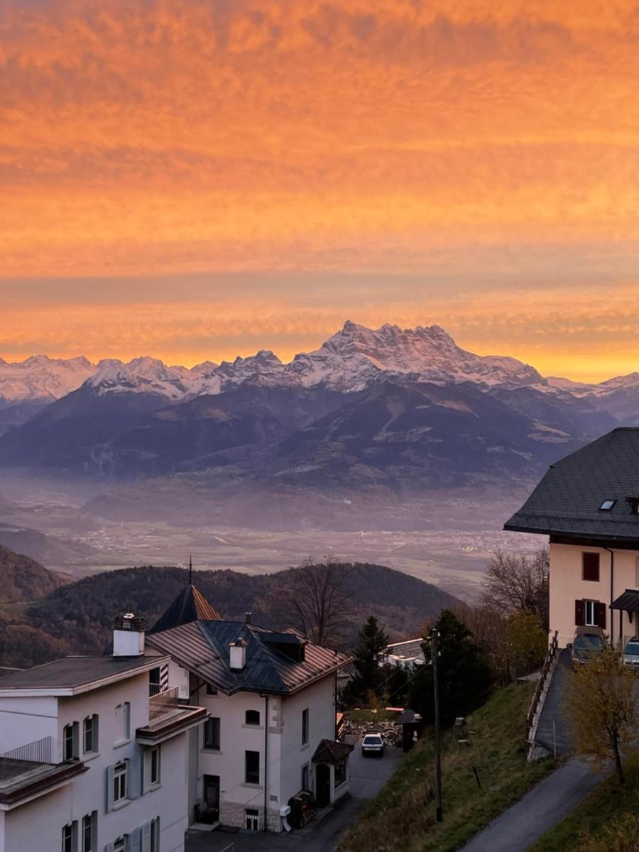 Charmant appartement au Vagabond