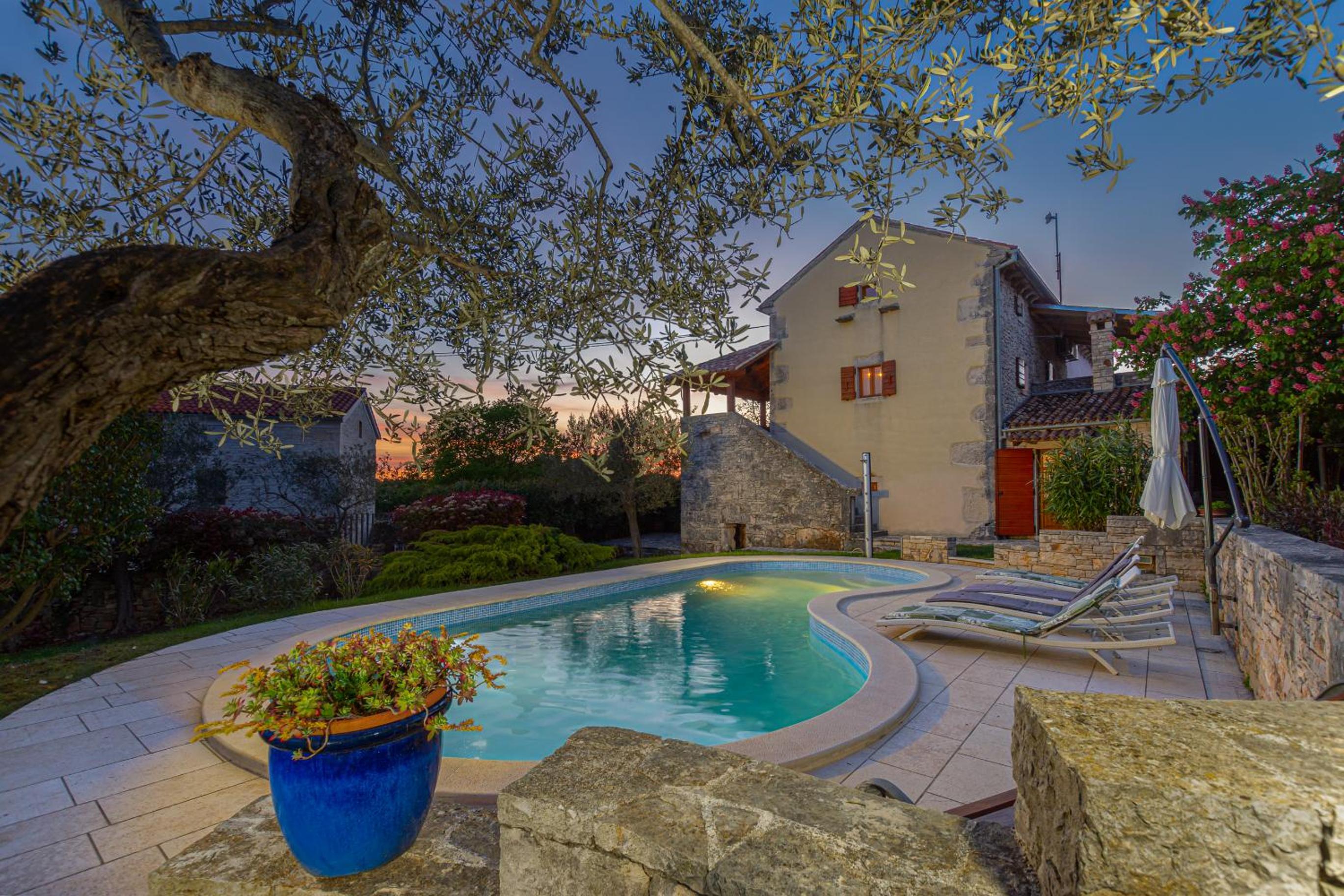 Villa DiVino by IstriaLux photo 4