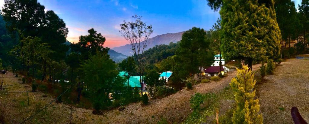 Photo 257