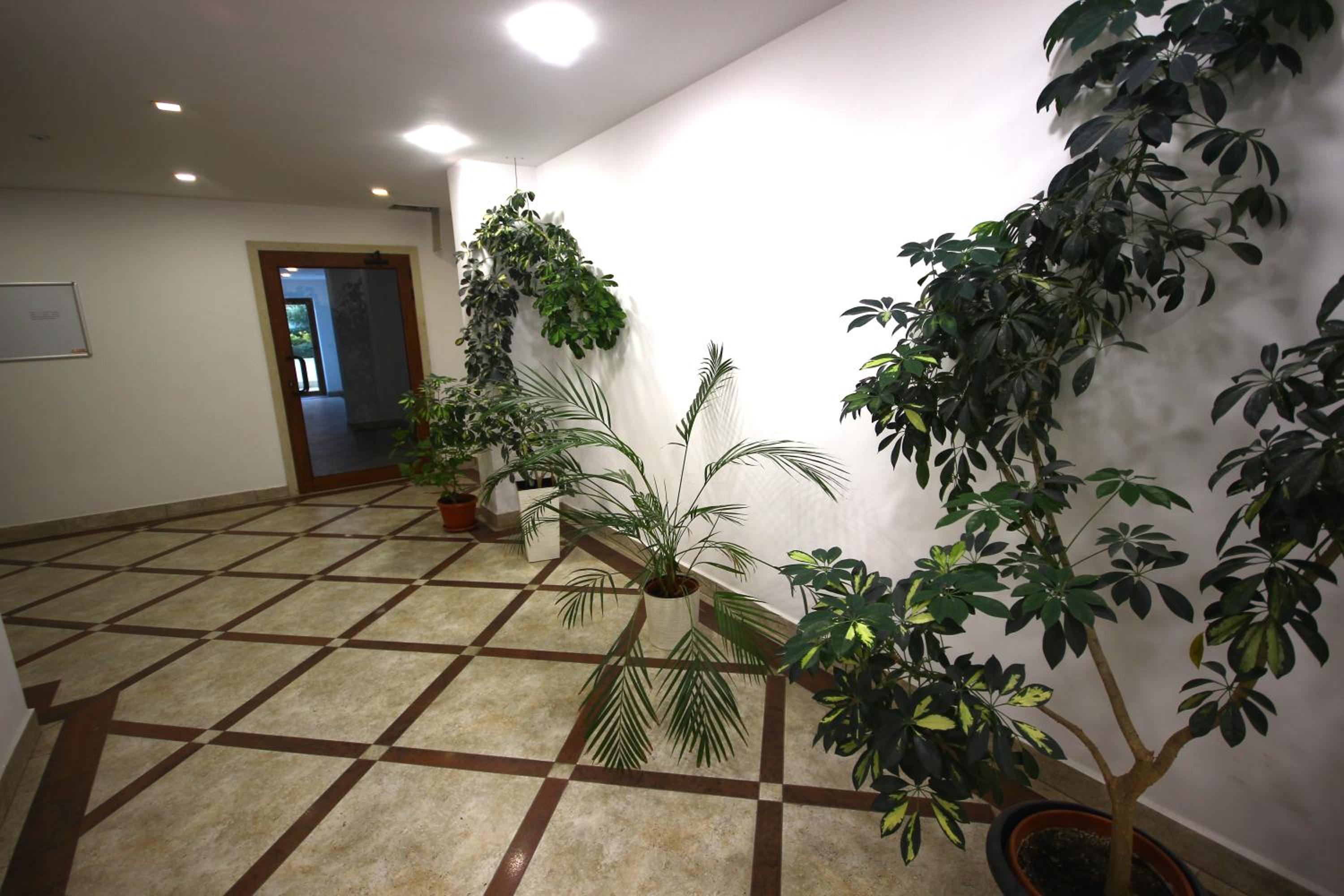 SOFIA CENTRAL LUXURY apartment 