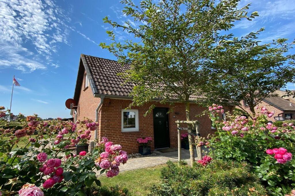 Ferienhaus Morgensonne