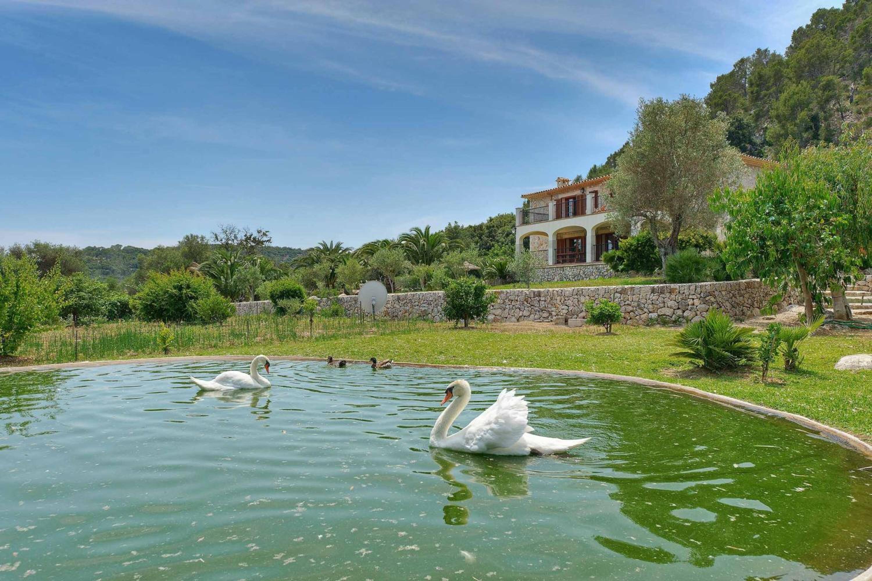 Wonderful Mallorca Villa - 4 Bedrooms - Villa Pollensa Treasure - Private Pool and Quiet Location - Pollensa view 4