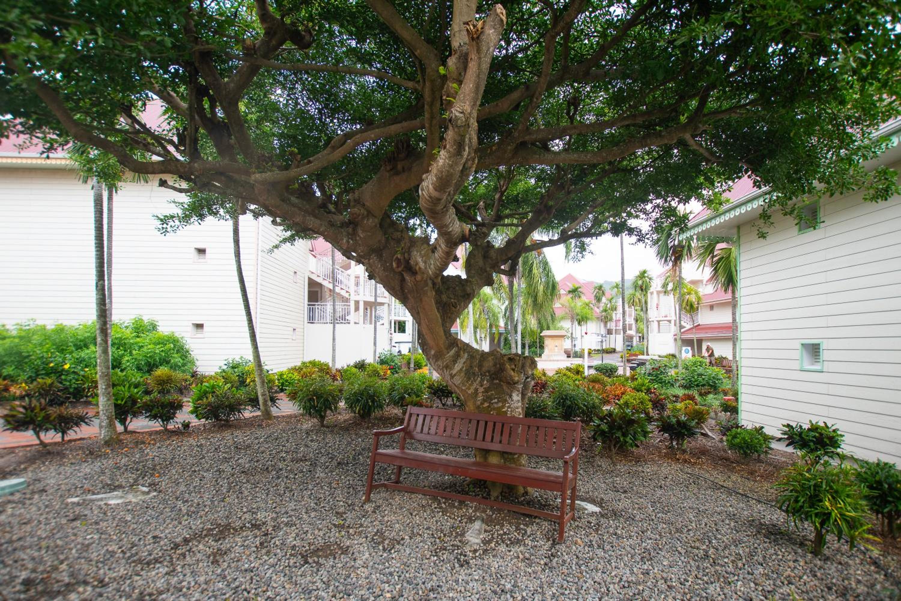 Palmélodie - Avec piscine et jacuzzi partagés