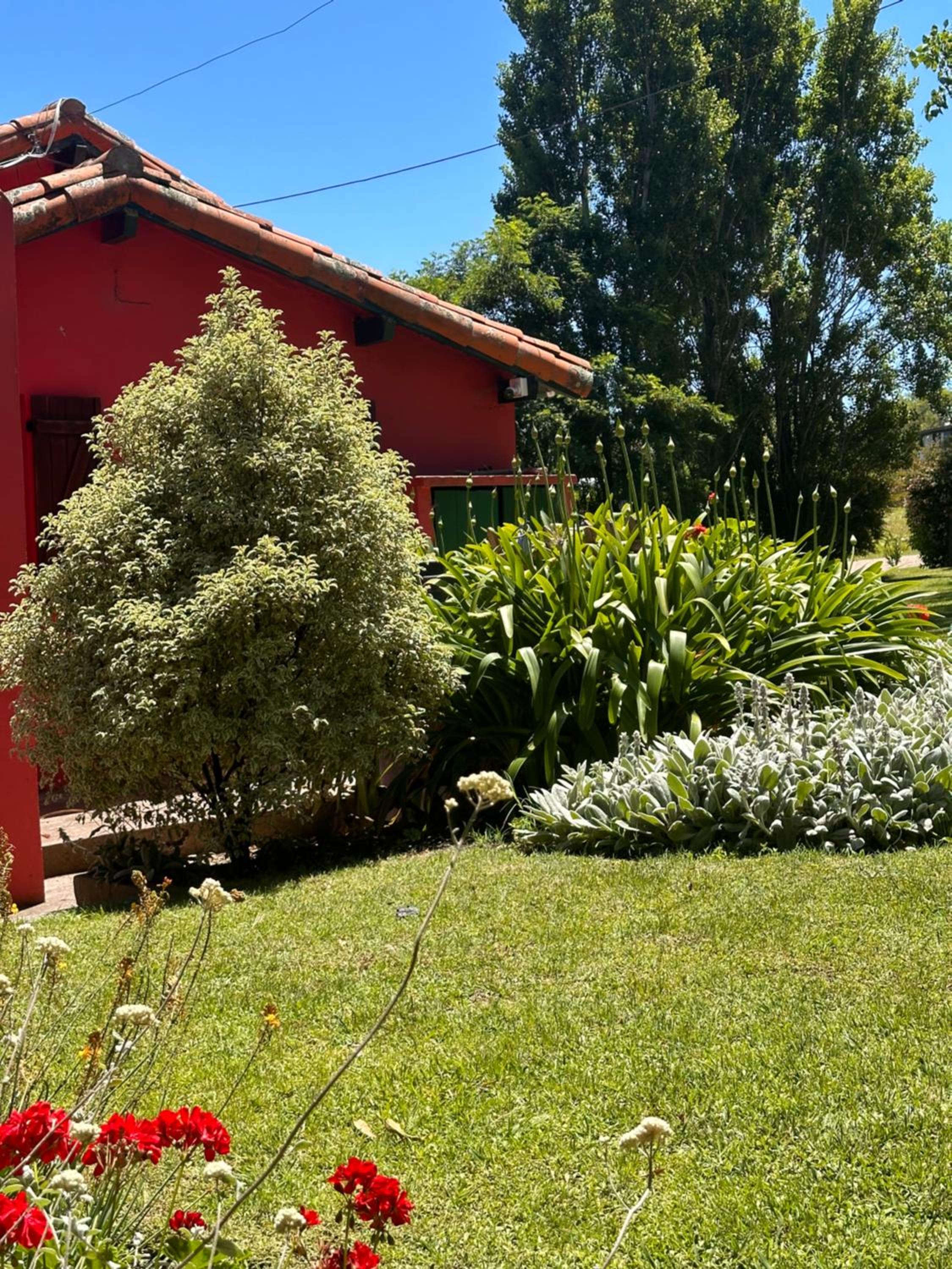 La Elena