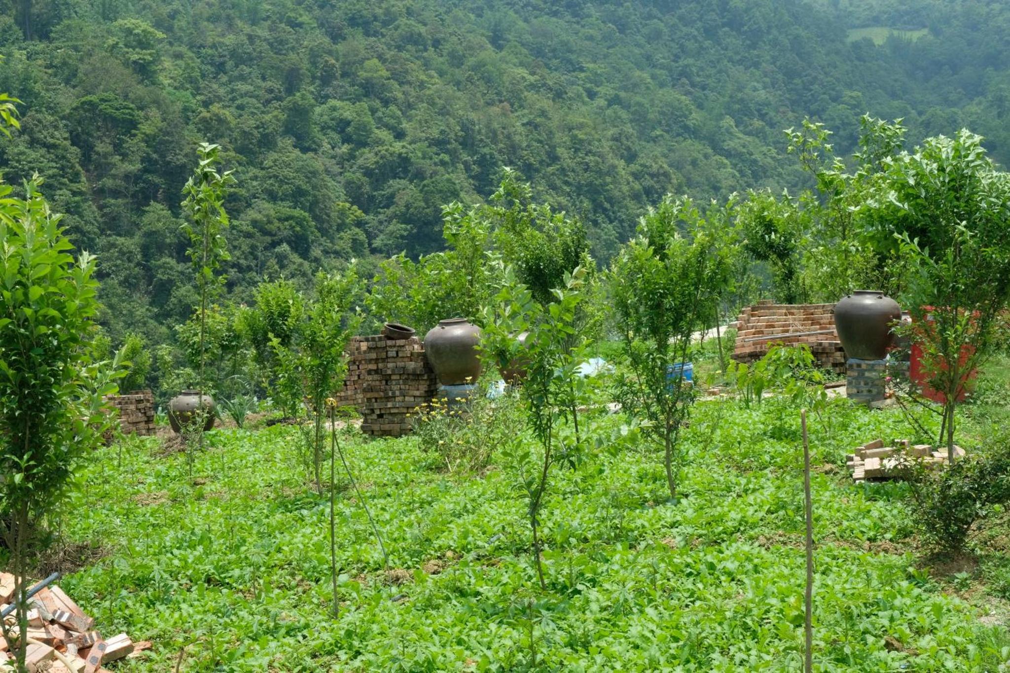 Sapawine Homestay