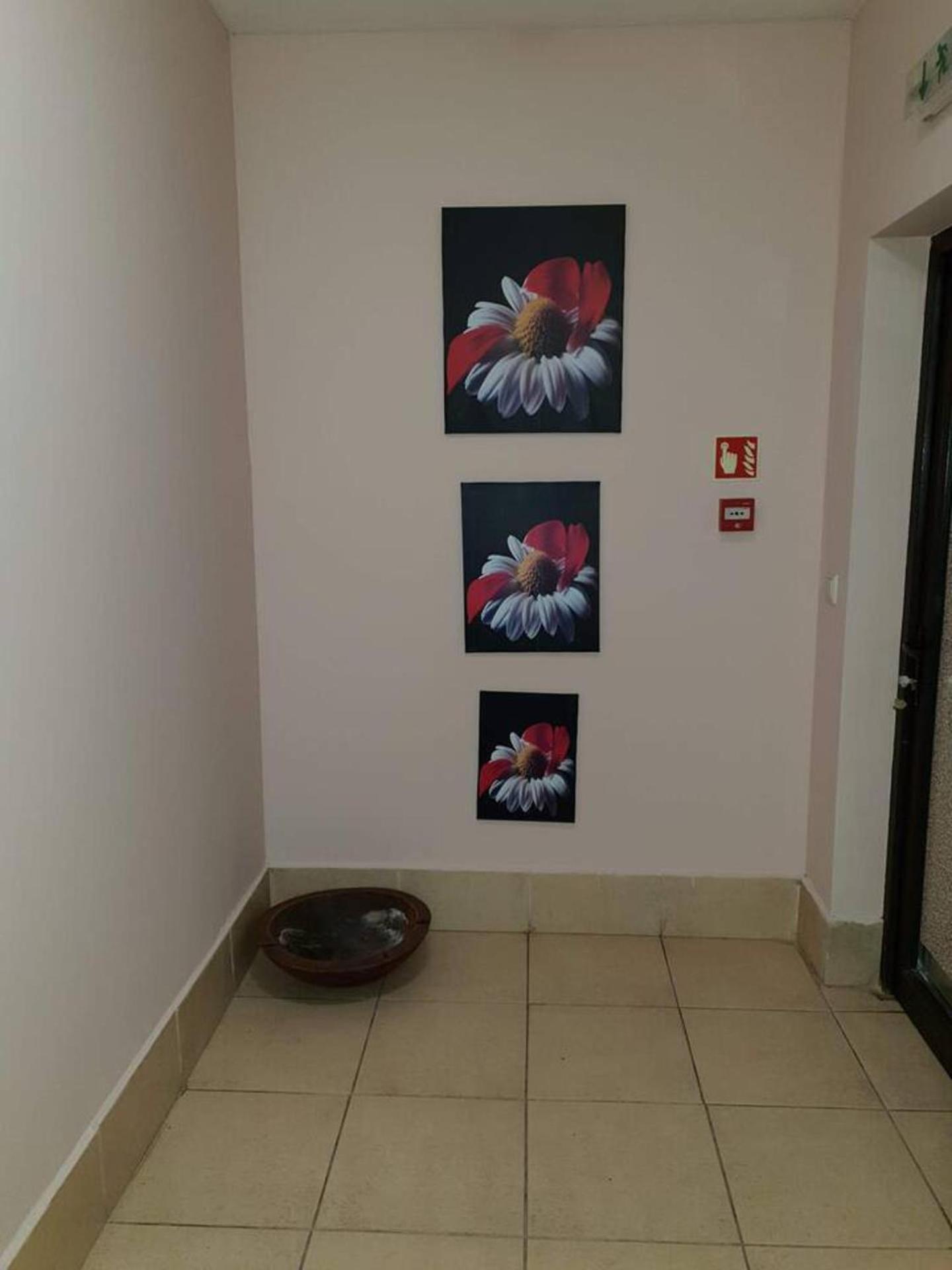 Dream Apart Hotel 207 - Sleeps 4