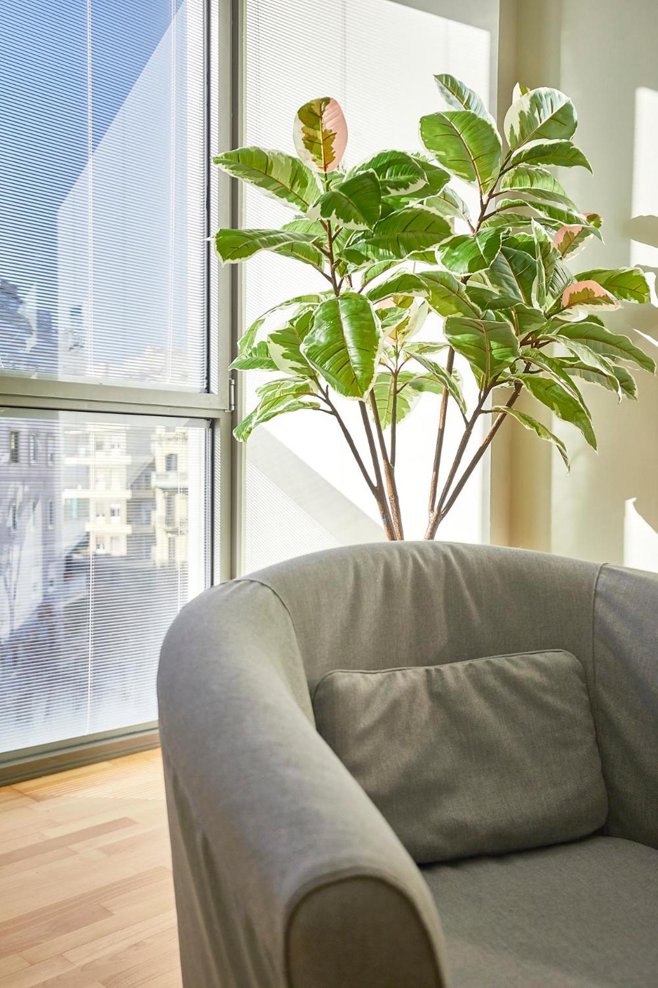 BBarcelona Plaça Universitat Flat