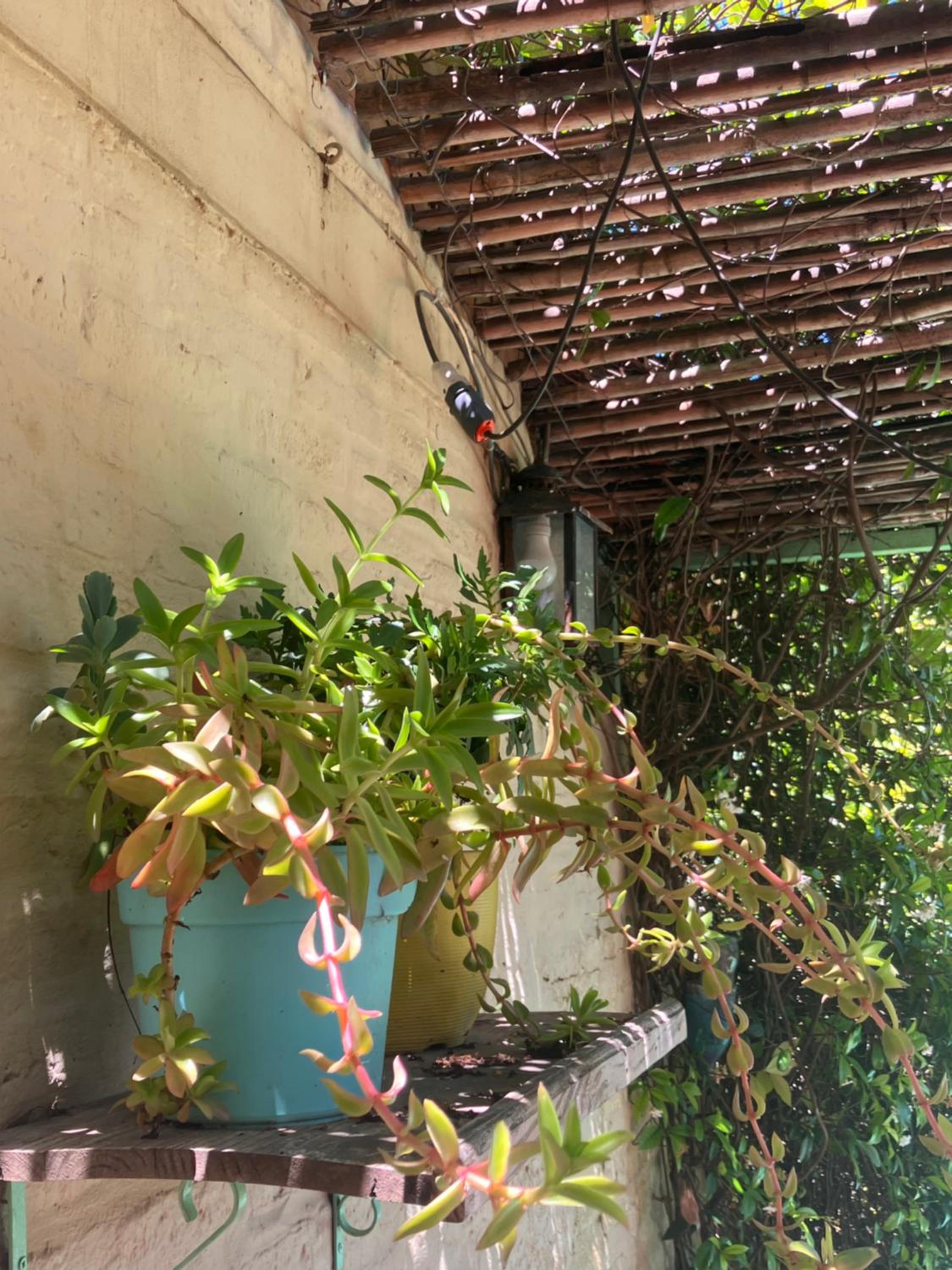CASA MAIPÚ, acogedora y cerca de la Laguna, con pileta