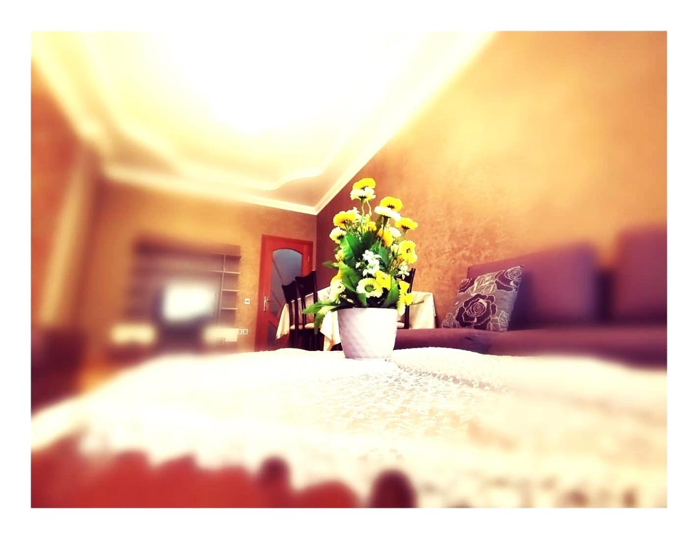 2-room luxurious apt - BAKU MALL