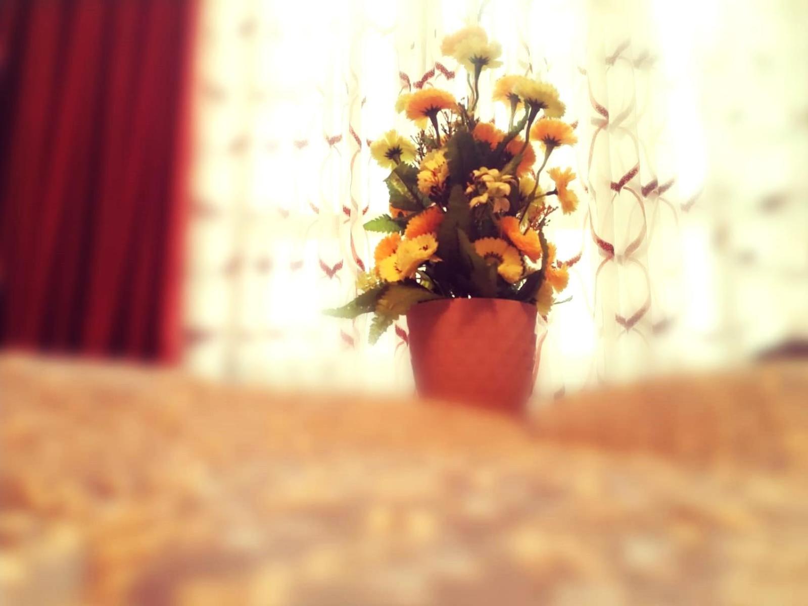 2-room luxurious apt - BAKU MALL