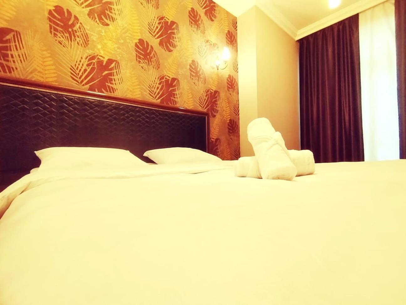 2-room luxurious apt - BAKU MALL