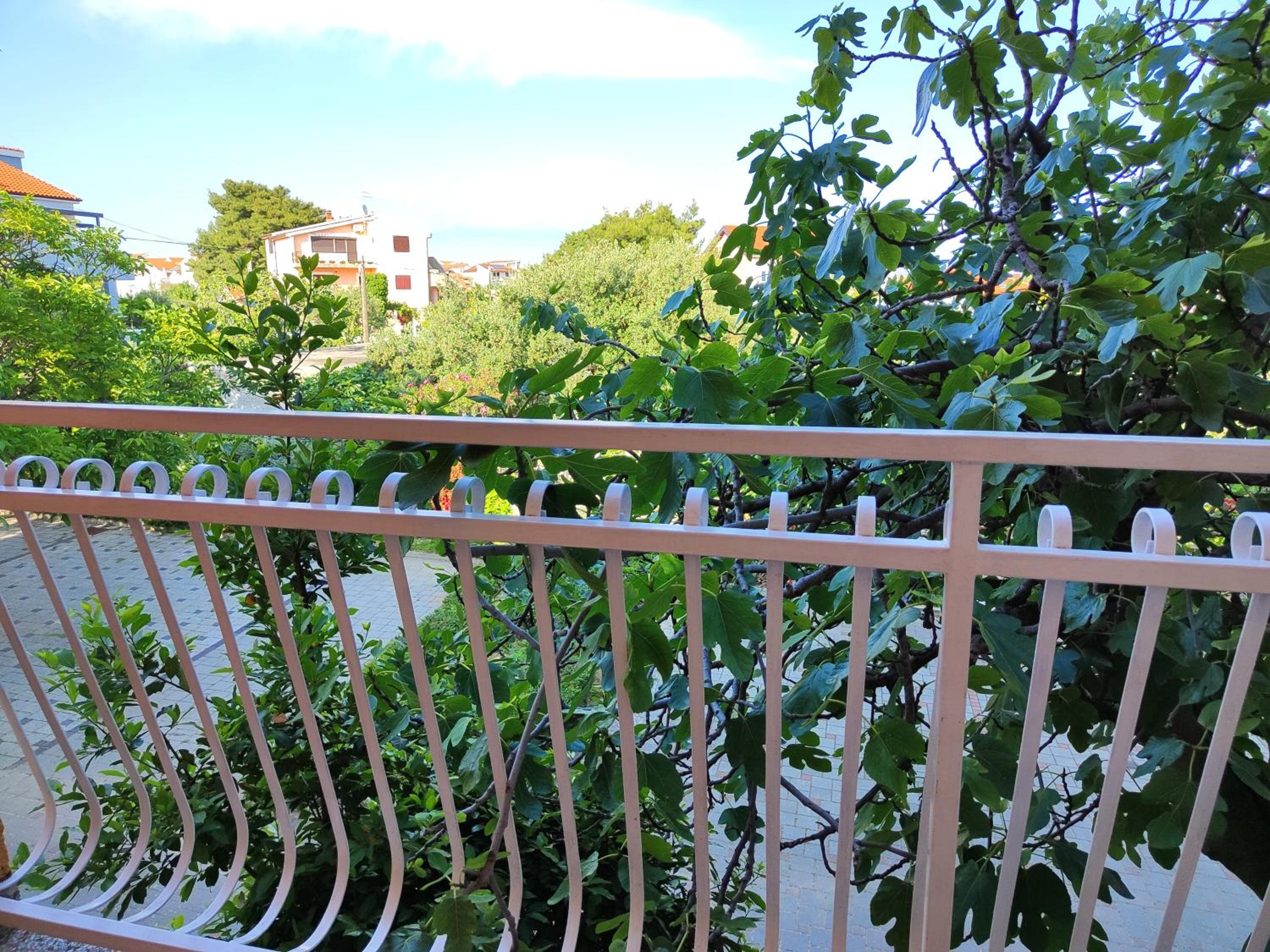 Apartmani Seka