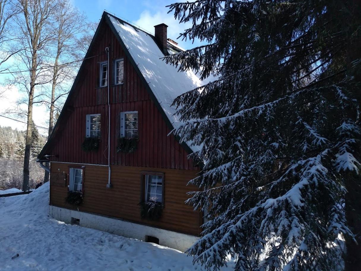 Leśne Apartamenty