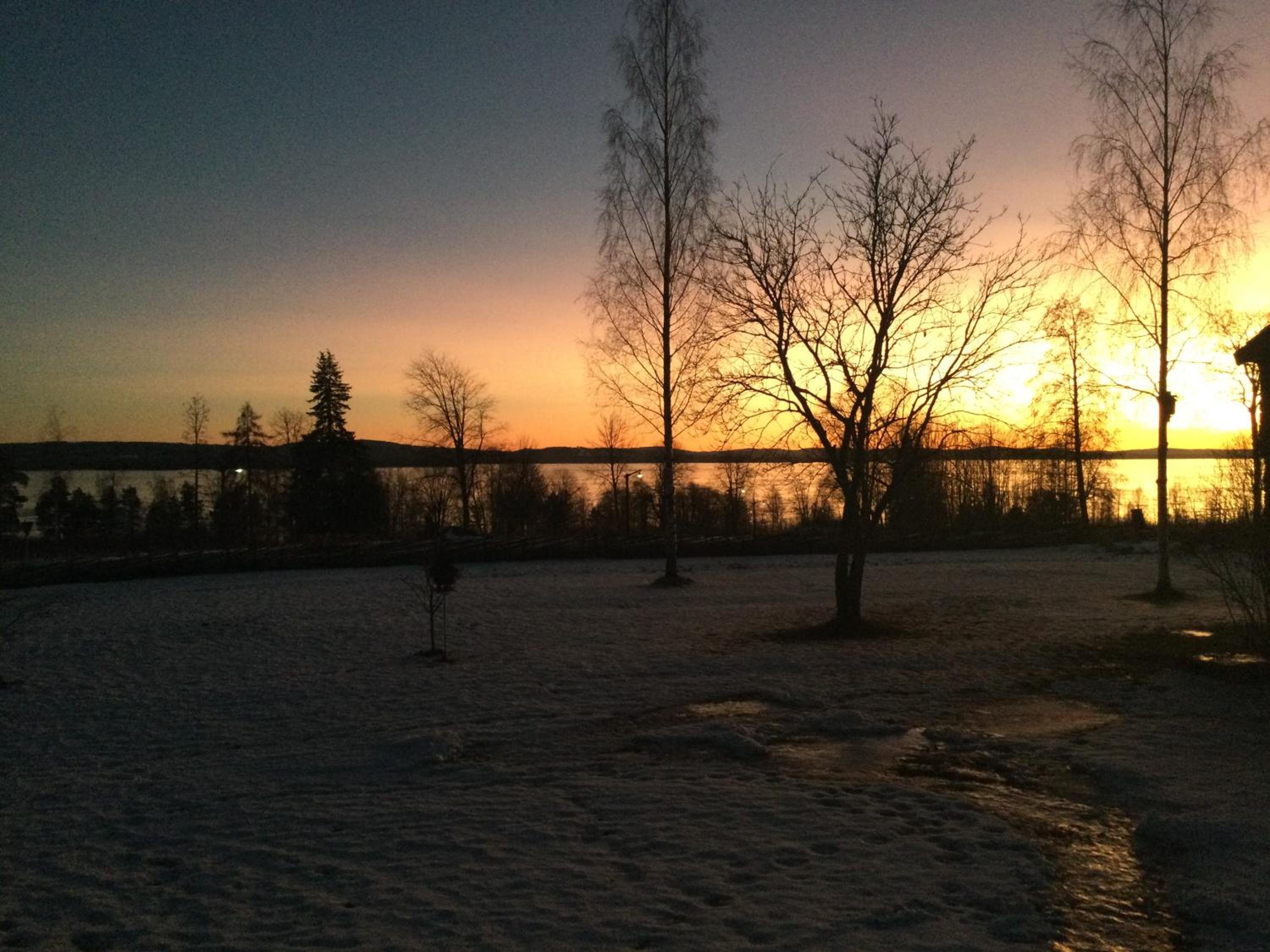 Photo 39