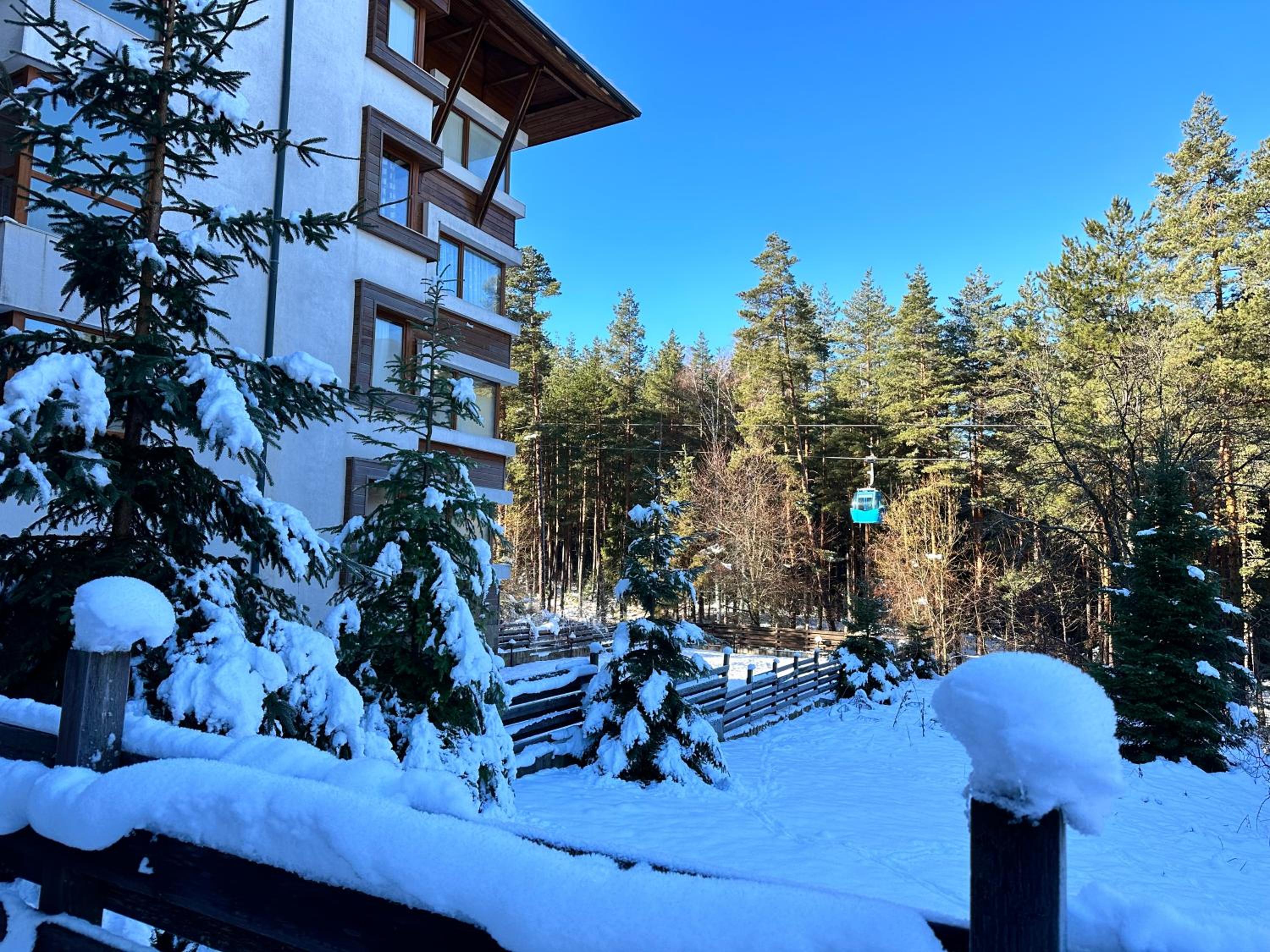 Pine Tree one bedroom apartment