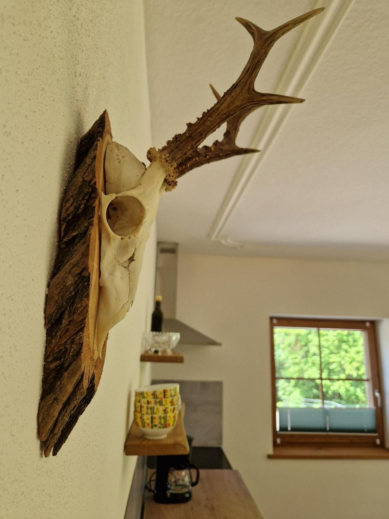 Appartement Woidrauschen