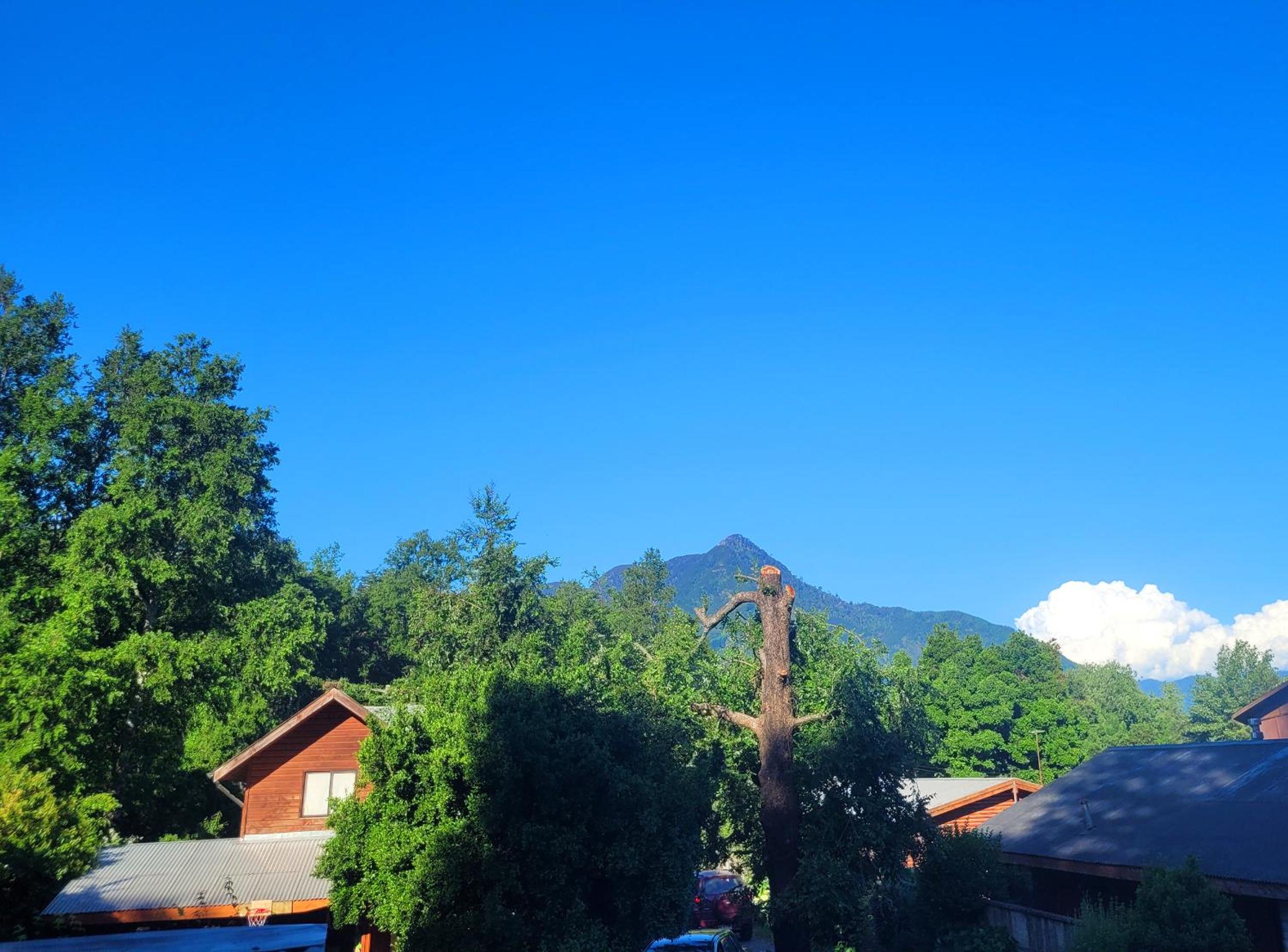 Departamento Colibrí