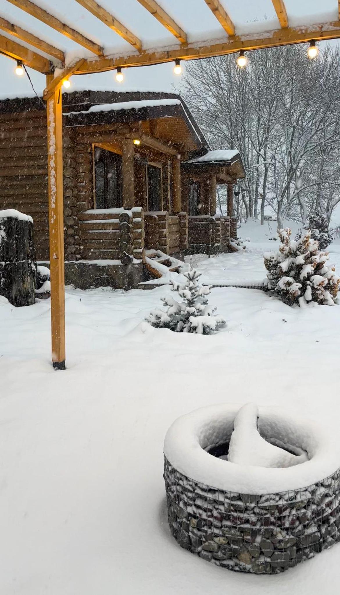 Kingswood Cabins Borjomi