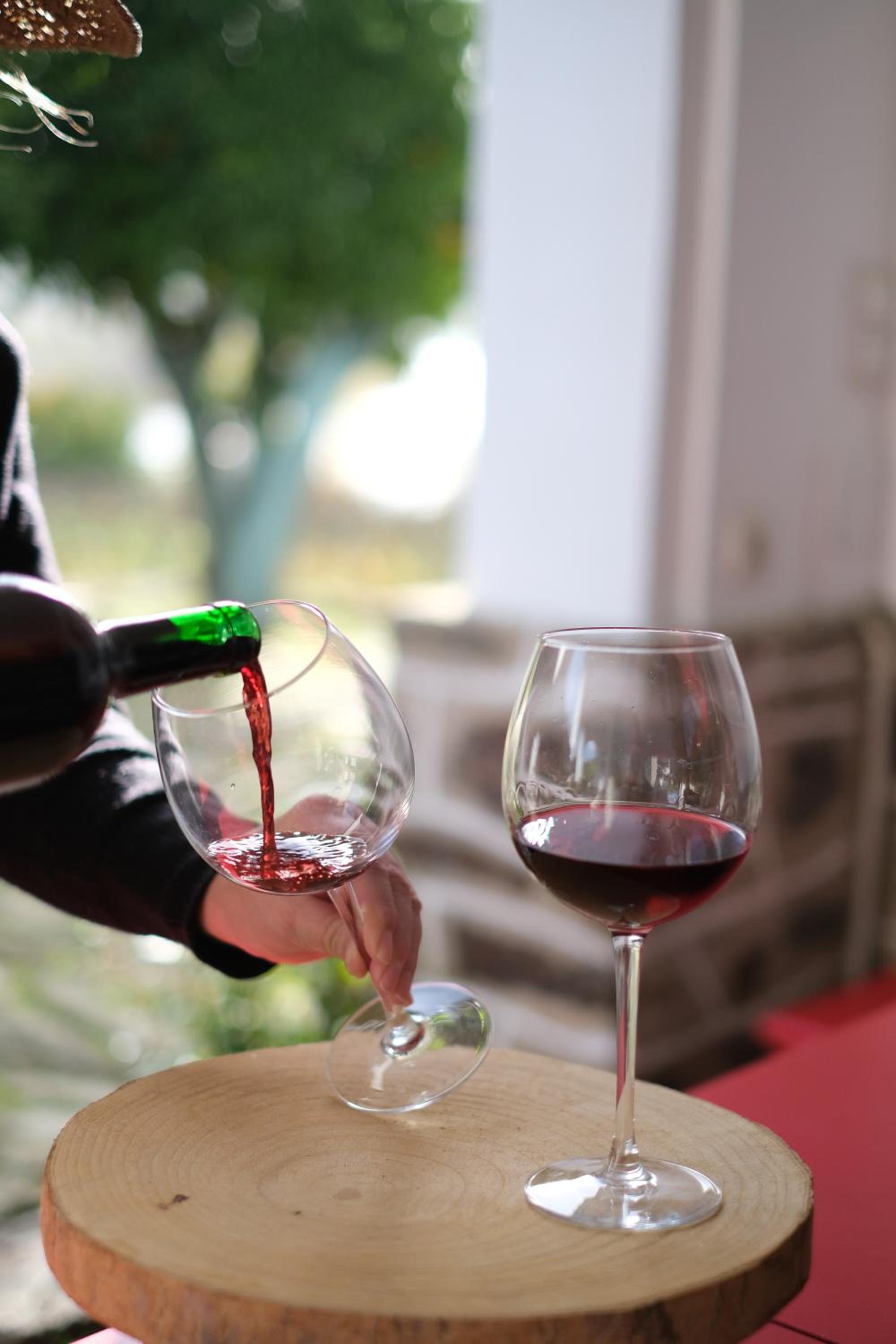 Quinta das Casas - Douro Winery & Villas view 4