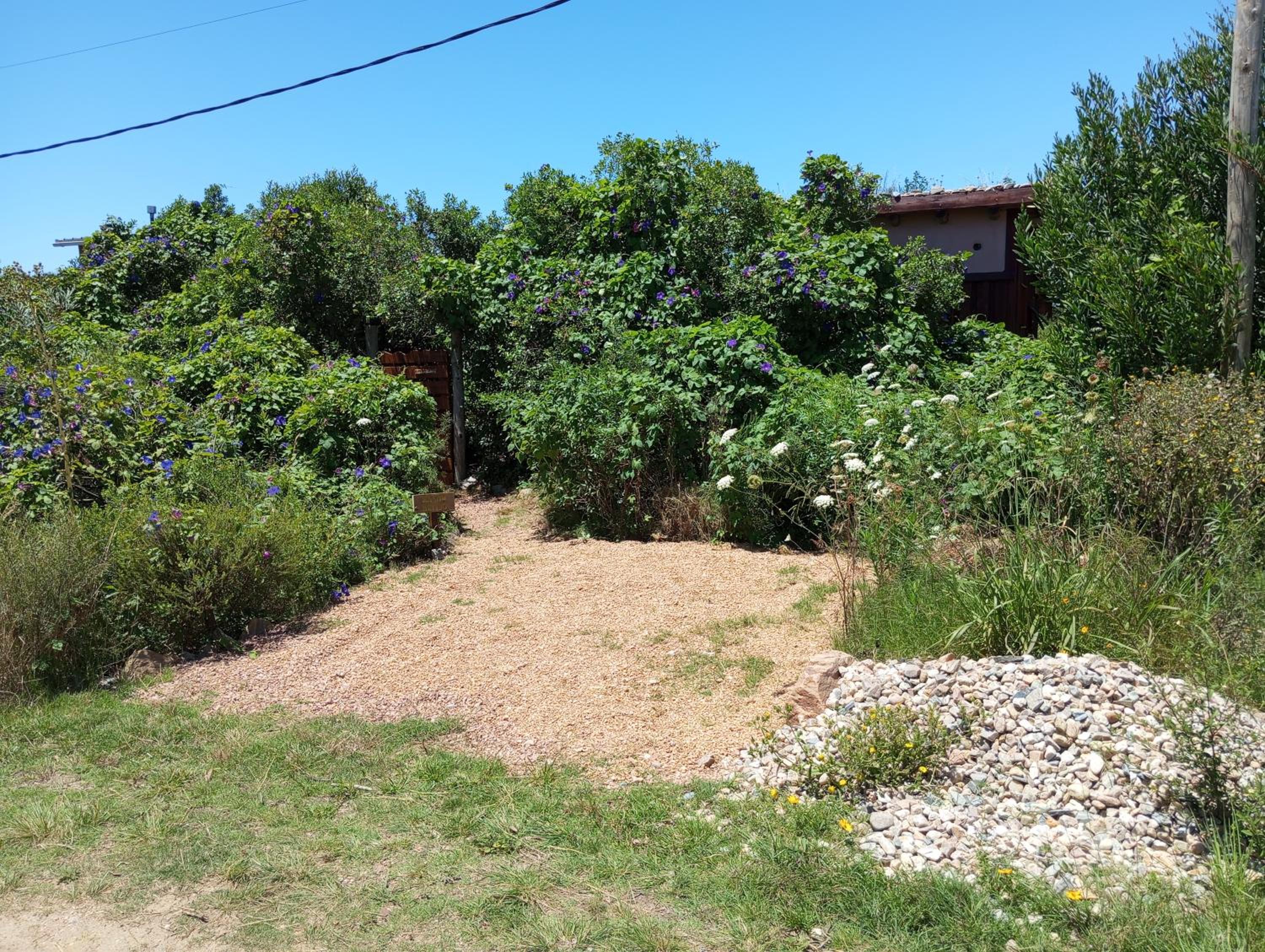 Sietevestidos Casa Ecológica - Punta Negra view 3
