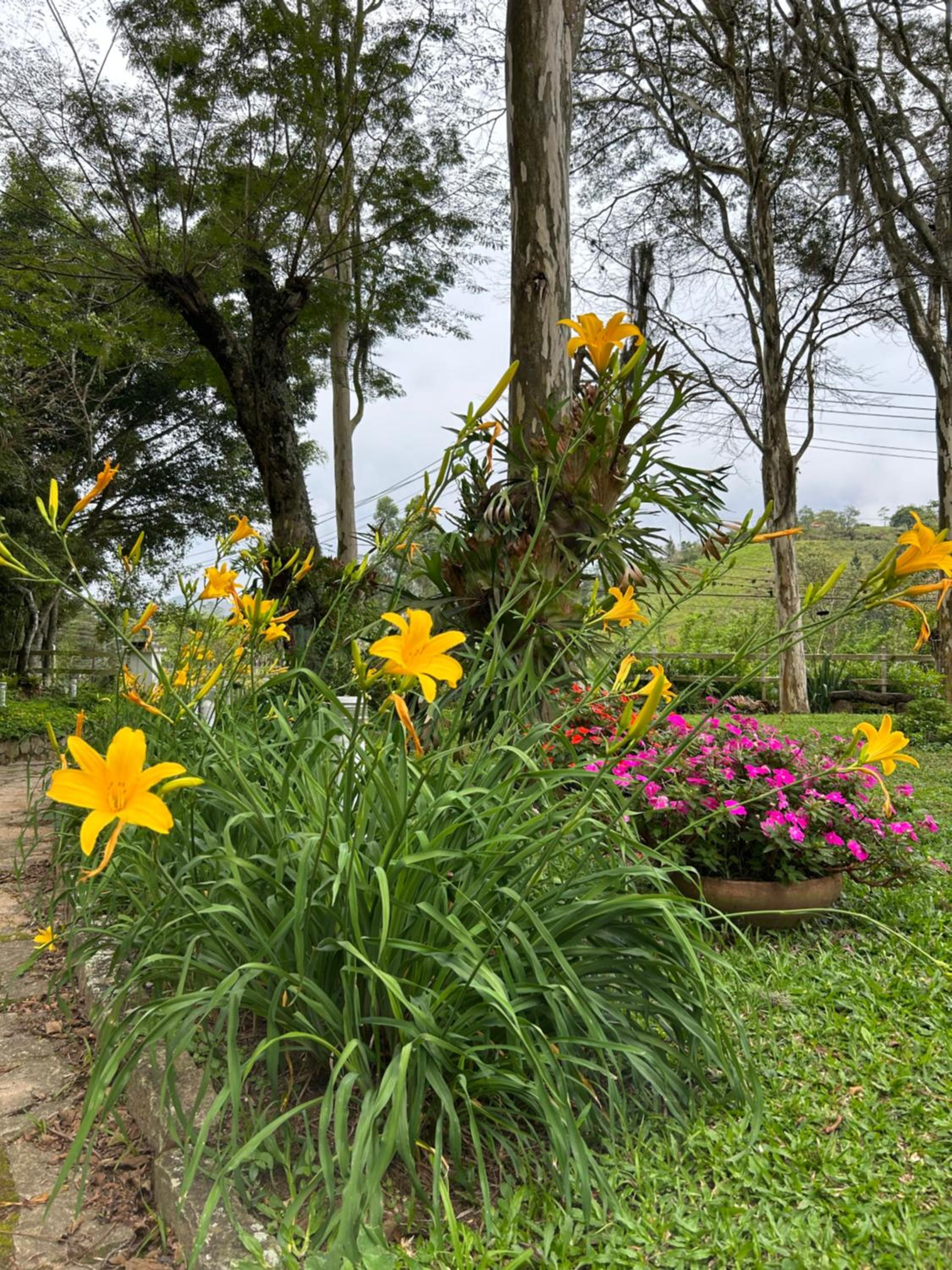 Casa do Alto no Sítio Gaia Miguel Pereira RJ