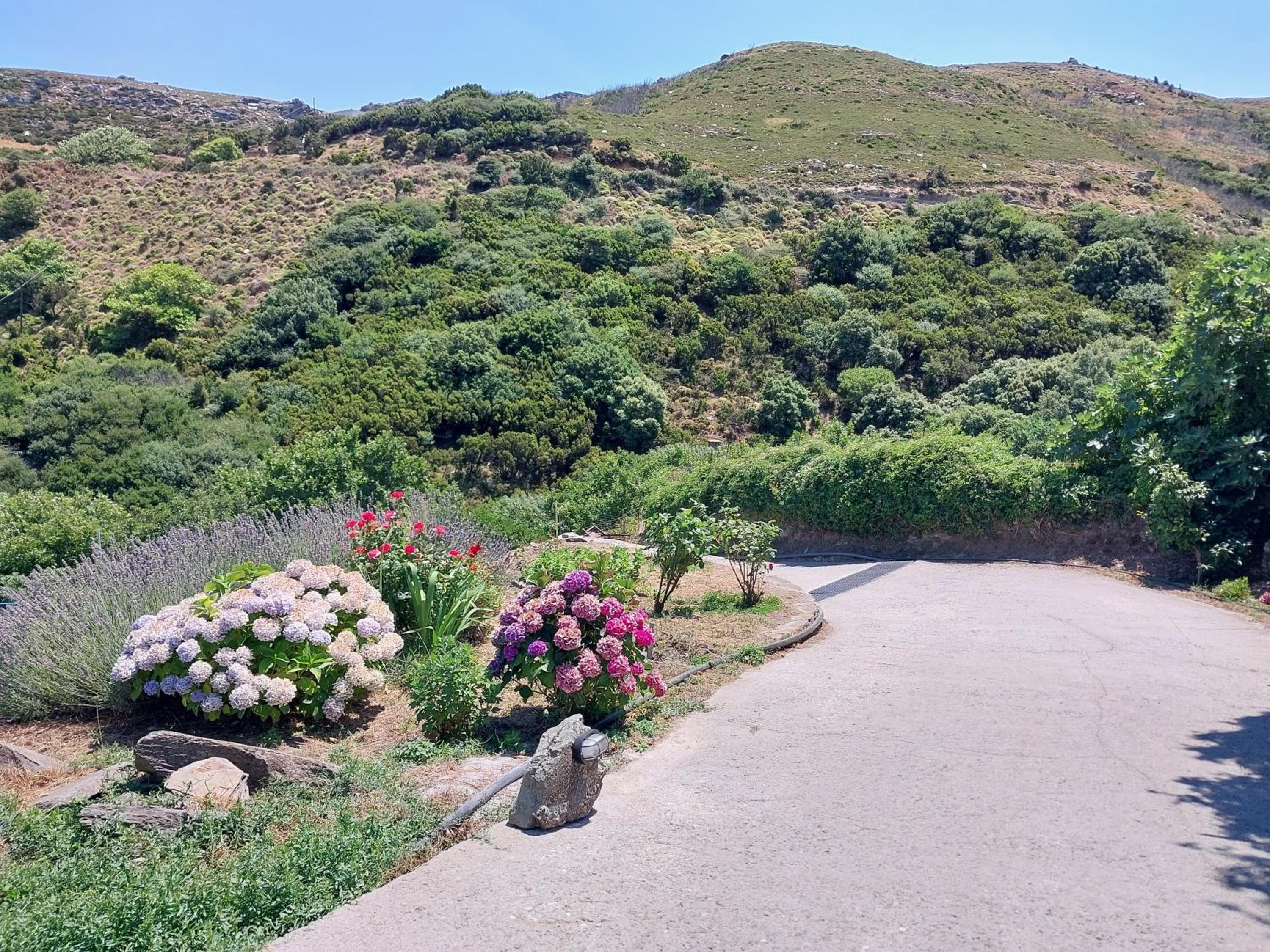 Nektaria's Stone House photo 4