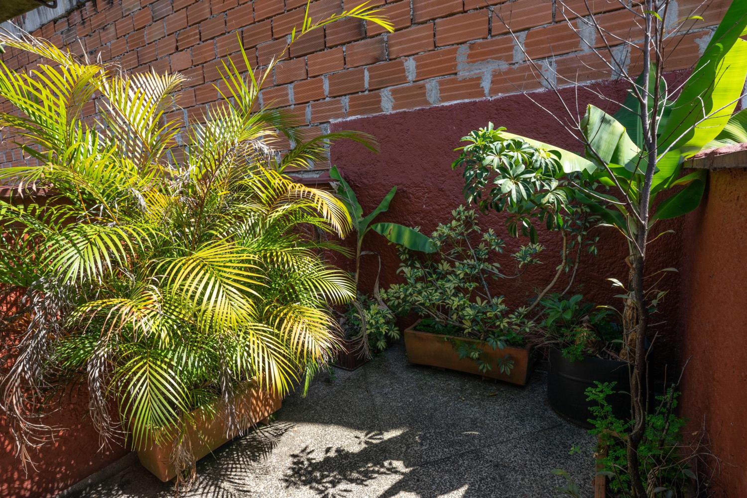 Oasis en el corazón de Medellin, Laureles