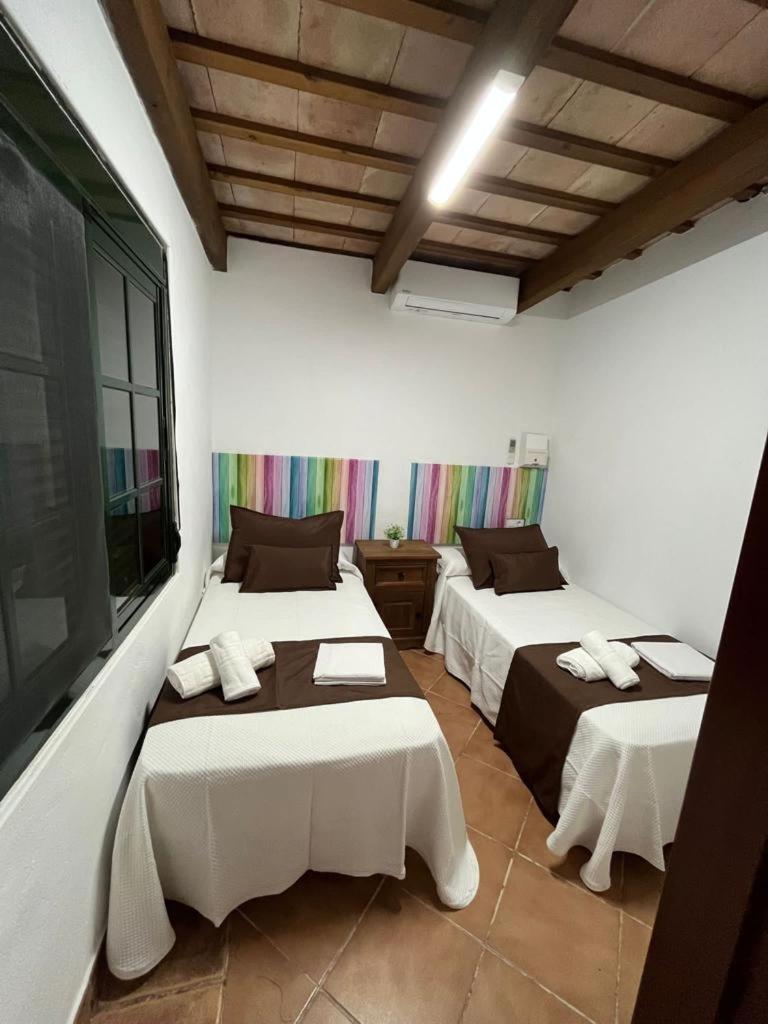 CASA CHOCOLATE