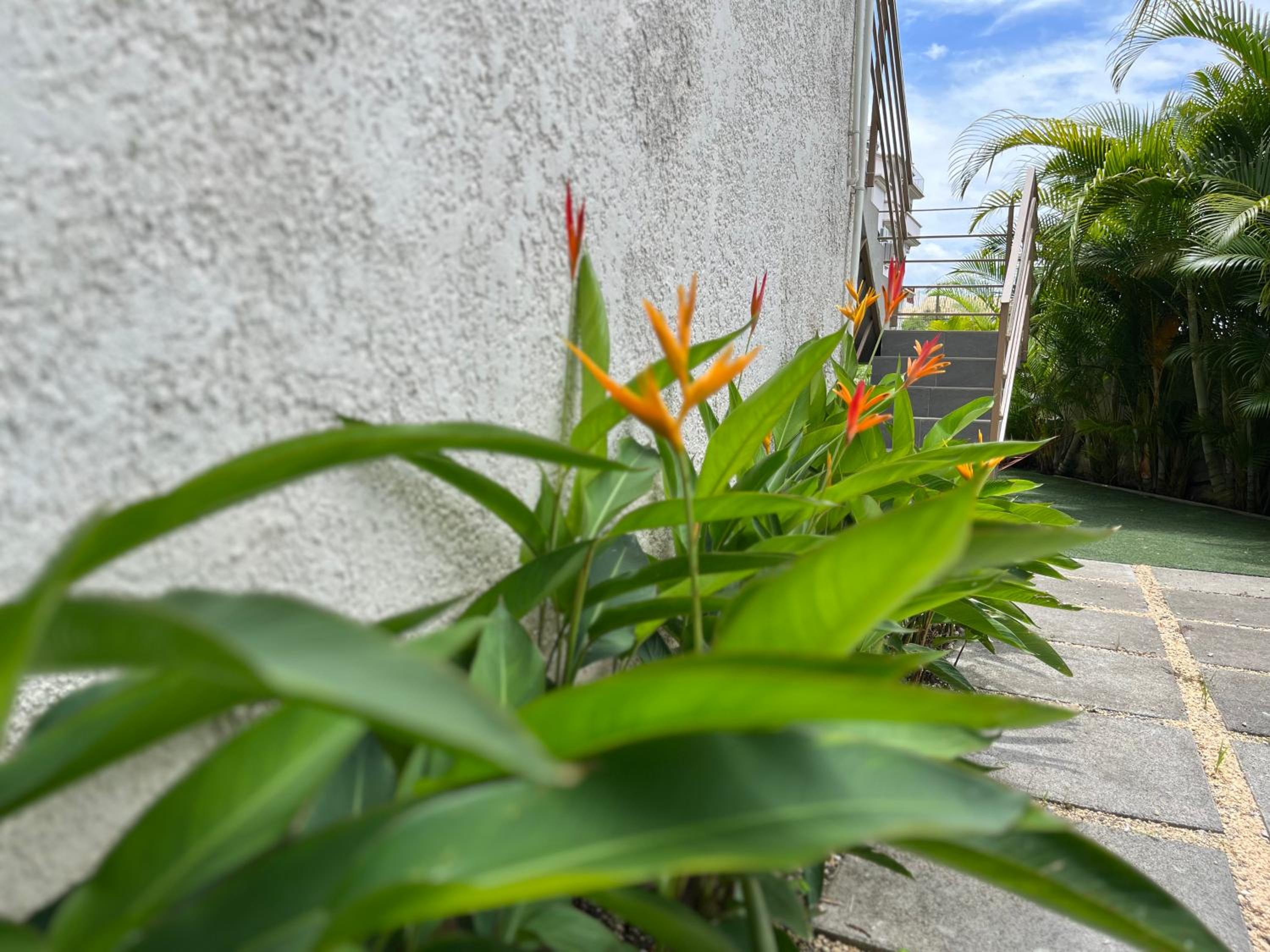 Seasons Break Apartment Pereybere view 3