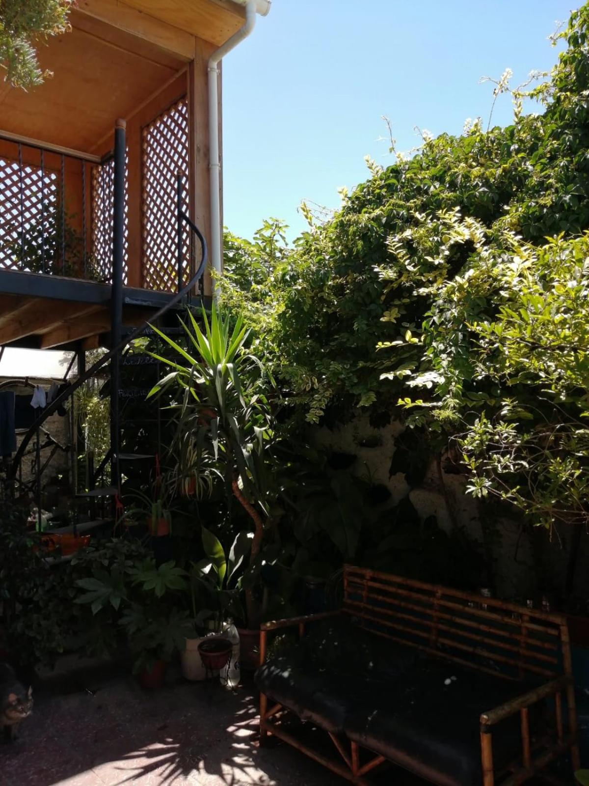 Casa Rosa Hostel