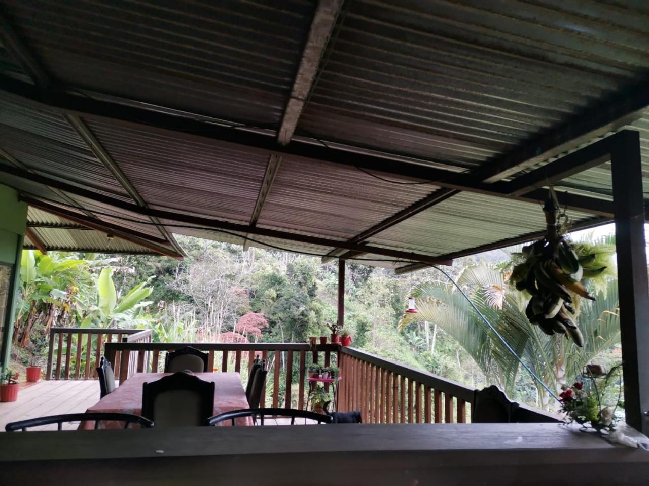 Bella Vista Guest house