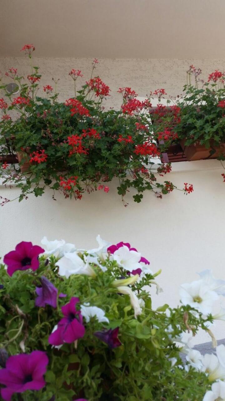 Garni Villa Betty